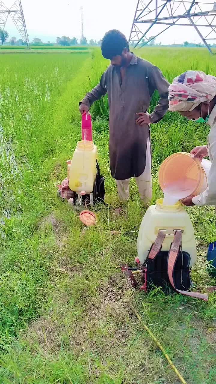 @Haji Rashid Jutt
