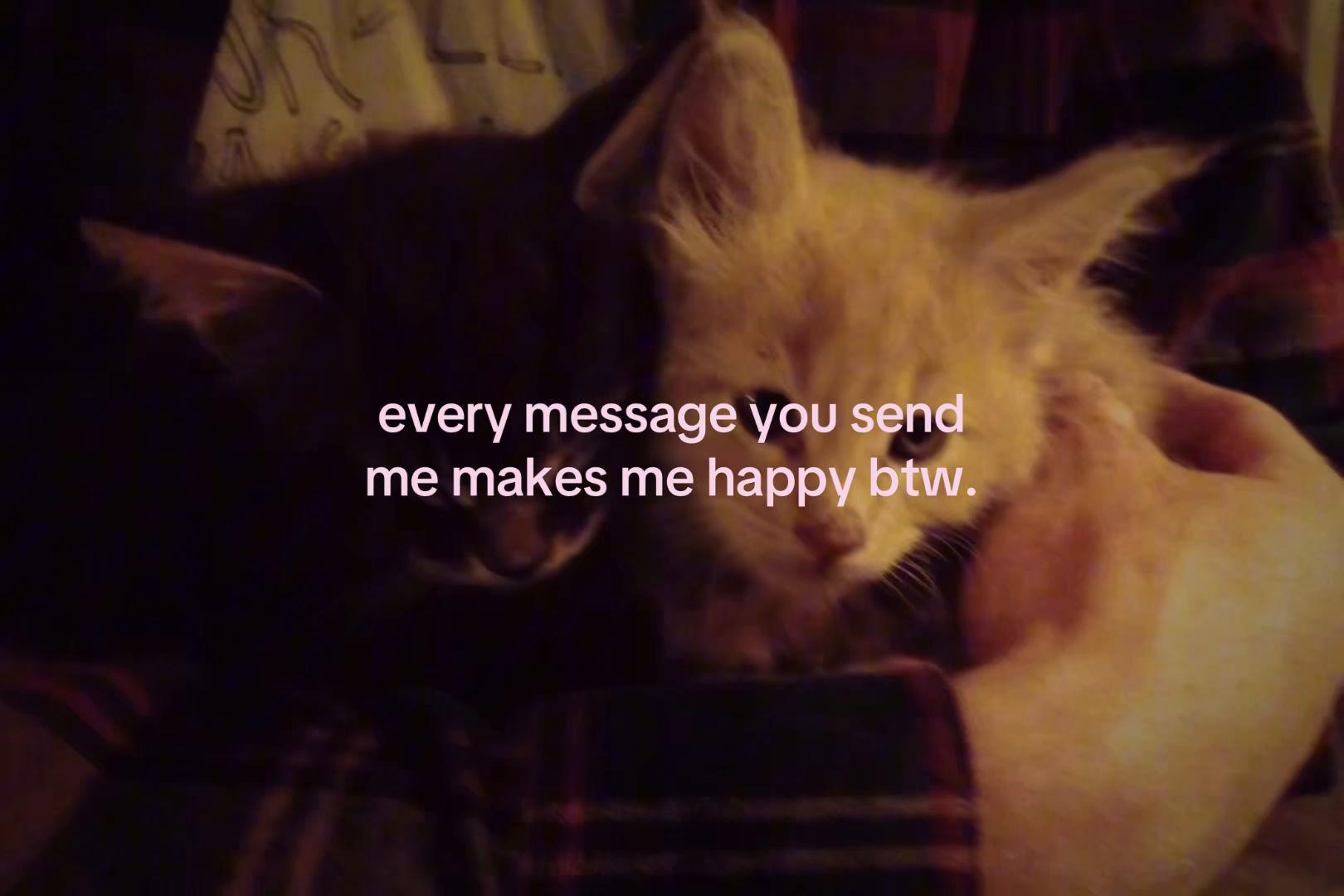 @sxalenz