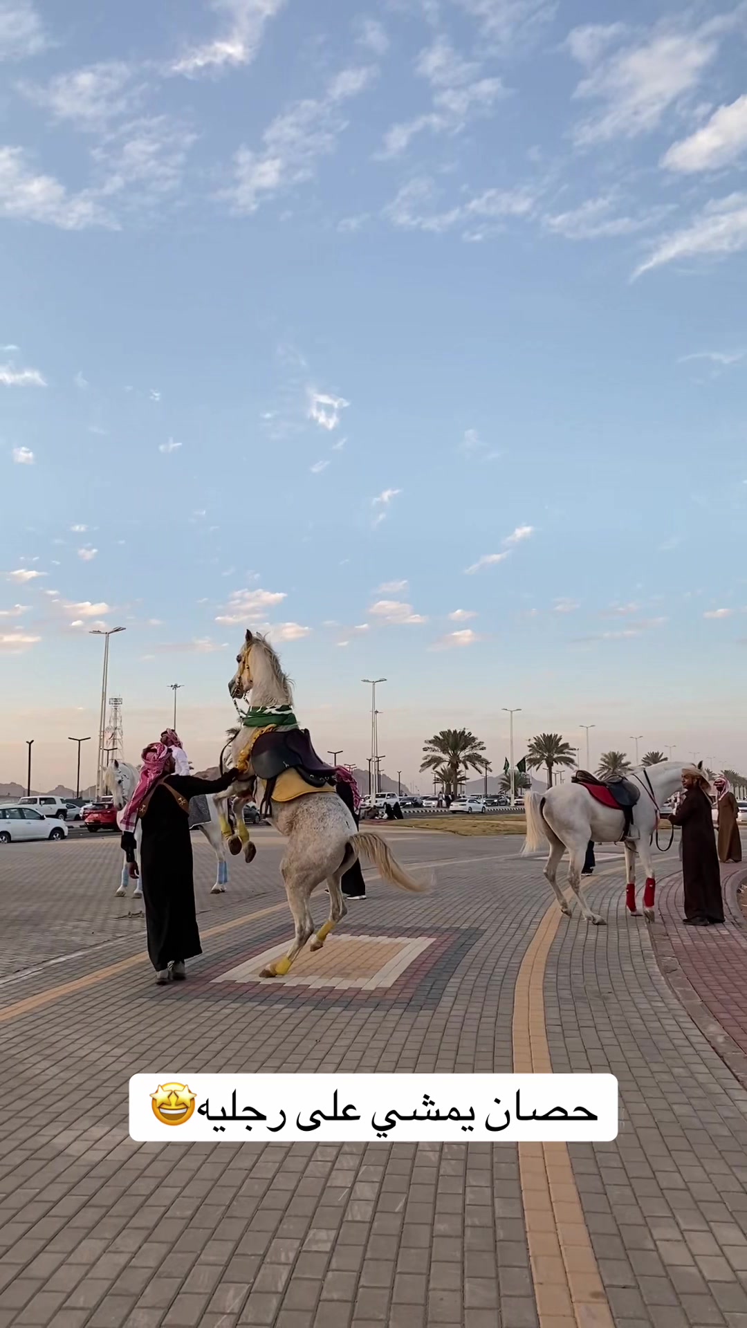 @سلطان بن عراكـ🌟