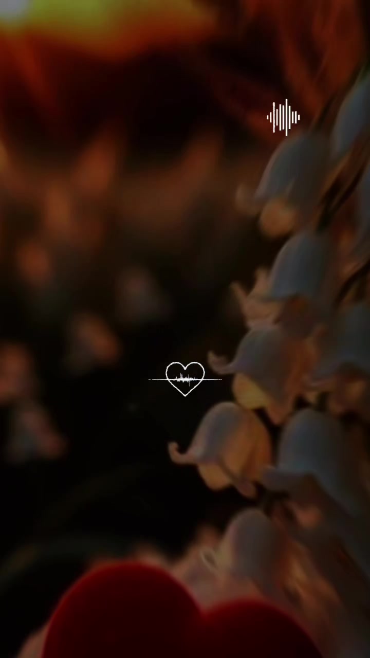 @☆꧁✰(๑˙❥𝖘𝖍𝖆𝖑𝖎𝖓𝖎❥˙๑)✨️✰꧂☆
