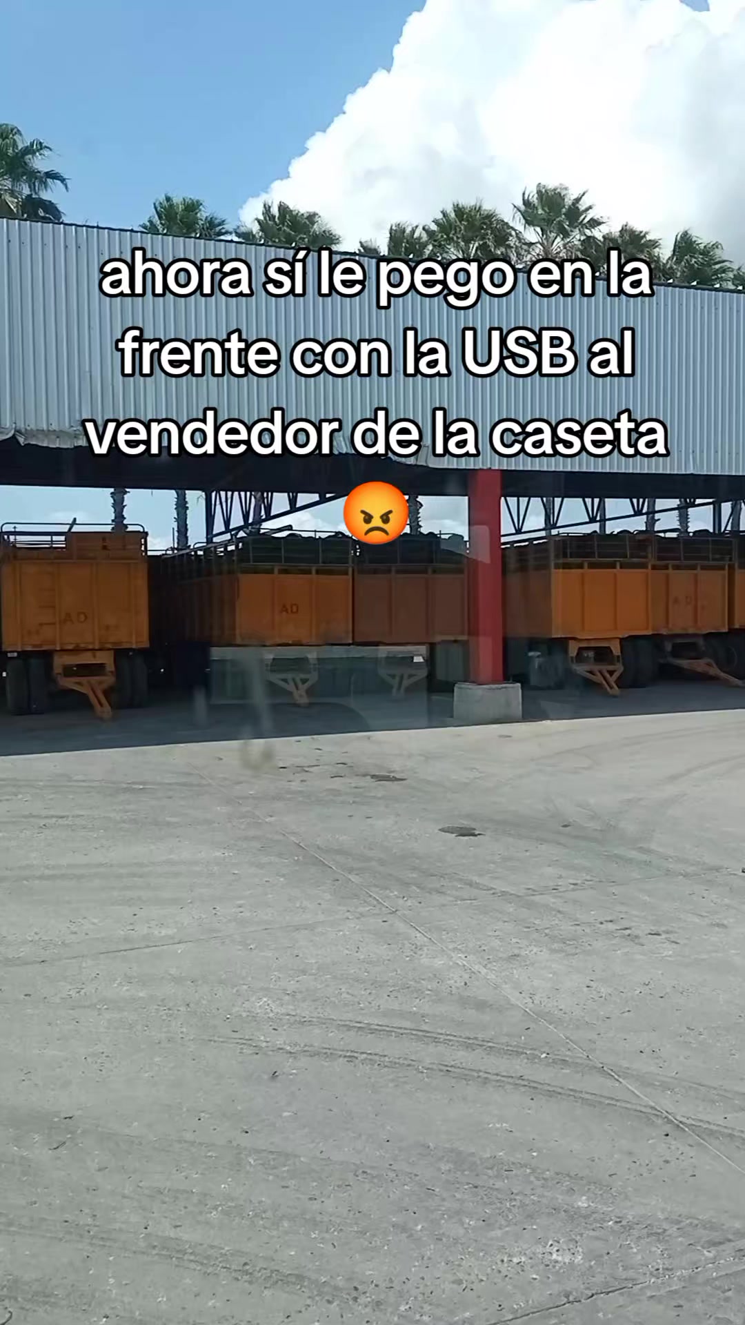 @ConejOrnelas