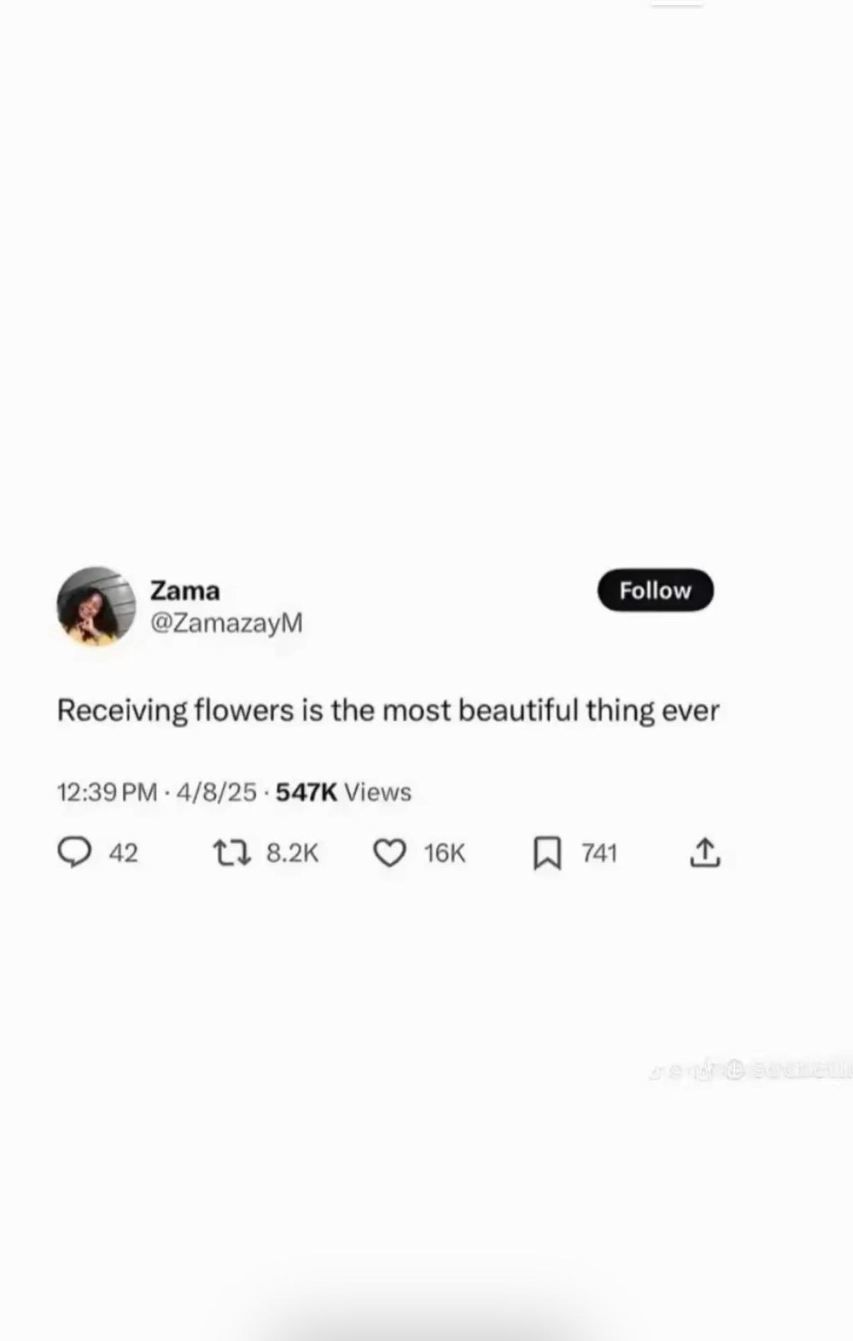 @alexia