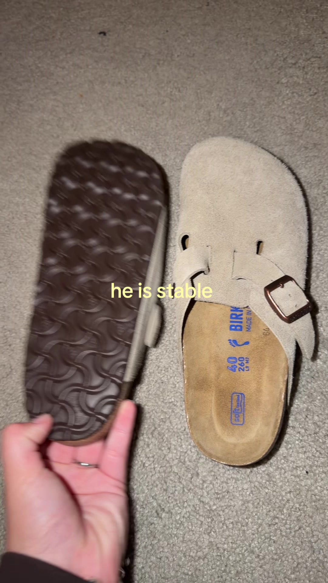 @🪼