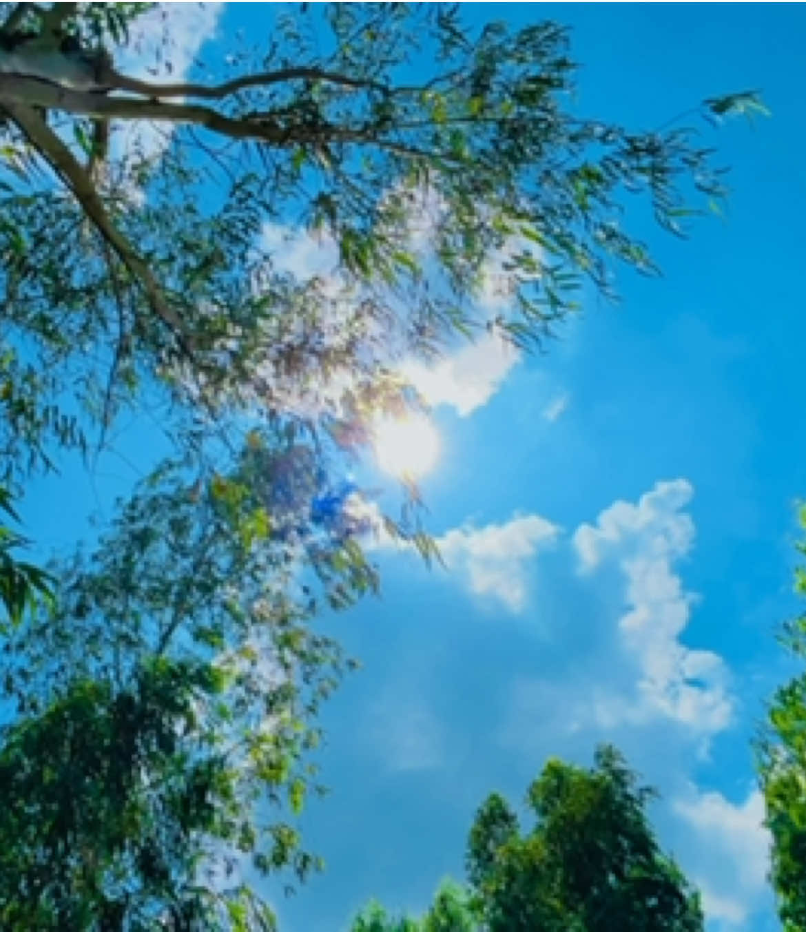 @প্রাকৃতিক 🌿