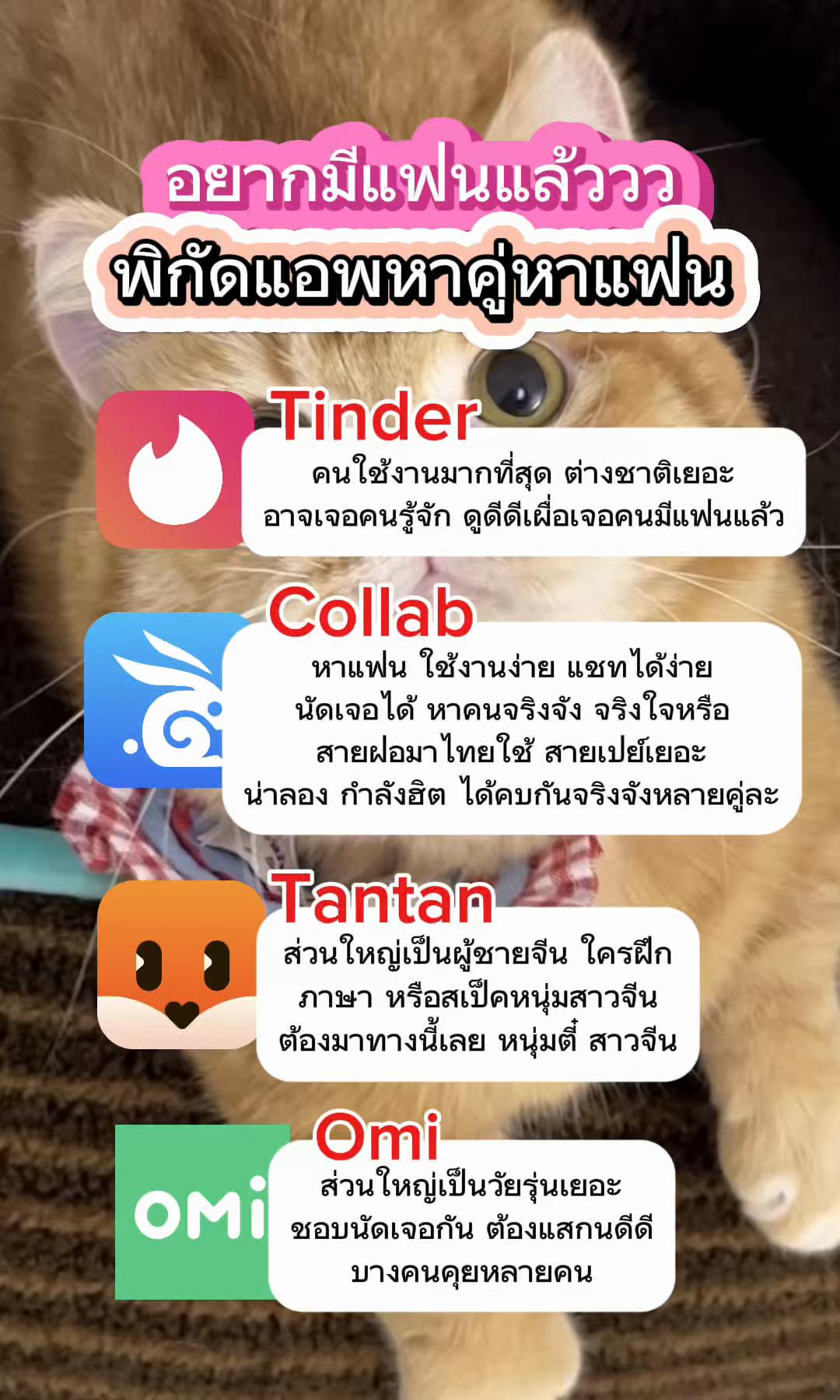 @Collab คนเหงา