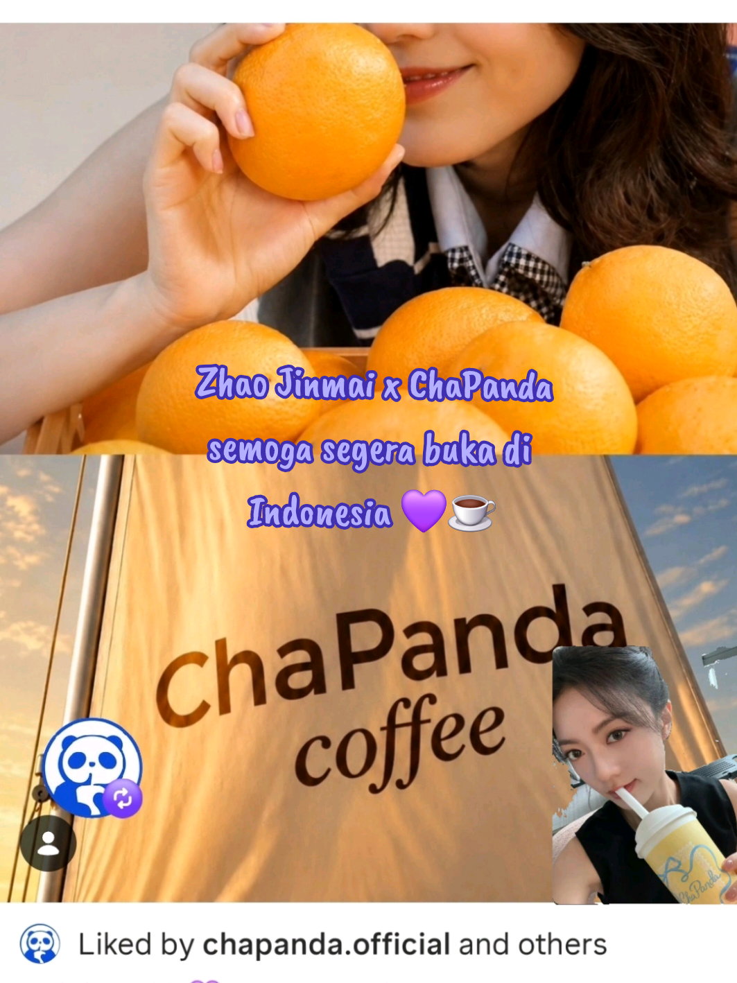 @Zhao Jinmai Supporter