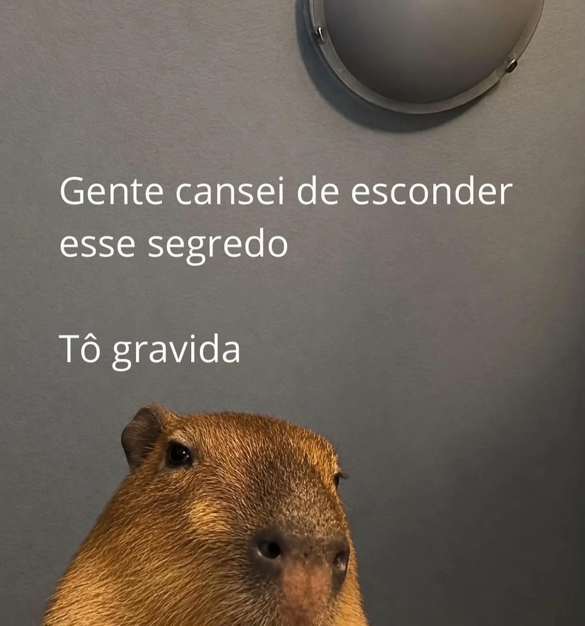 @Nithielli Hertz