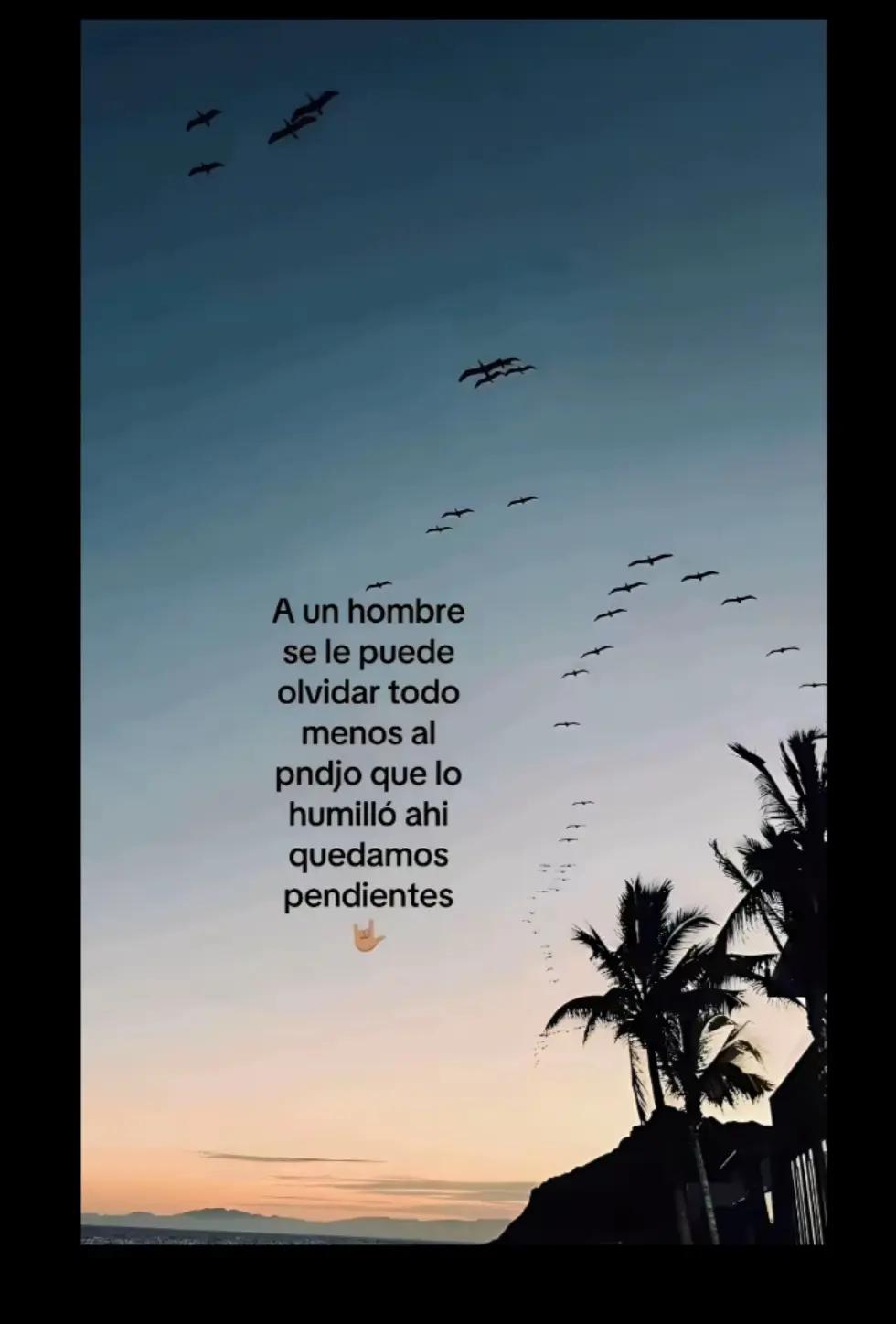 @el pel&oacute;n