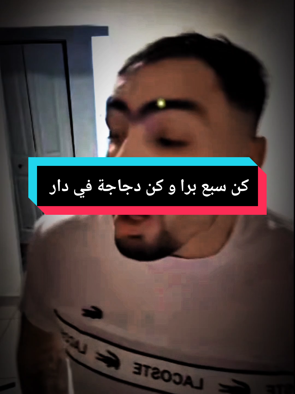 @live+213dz