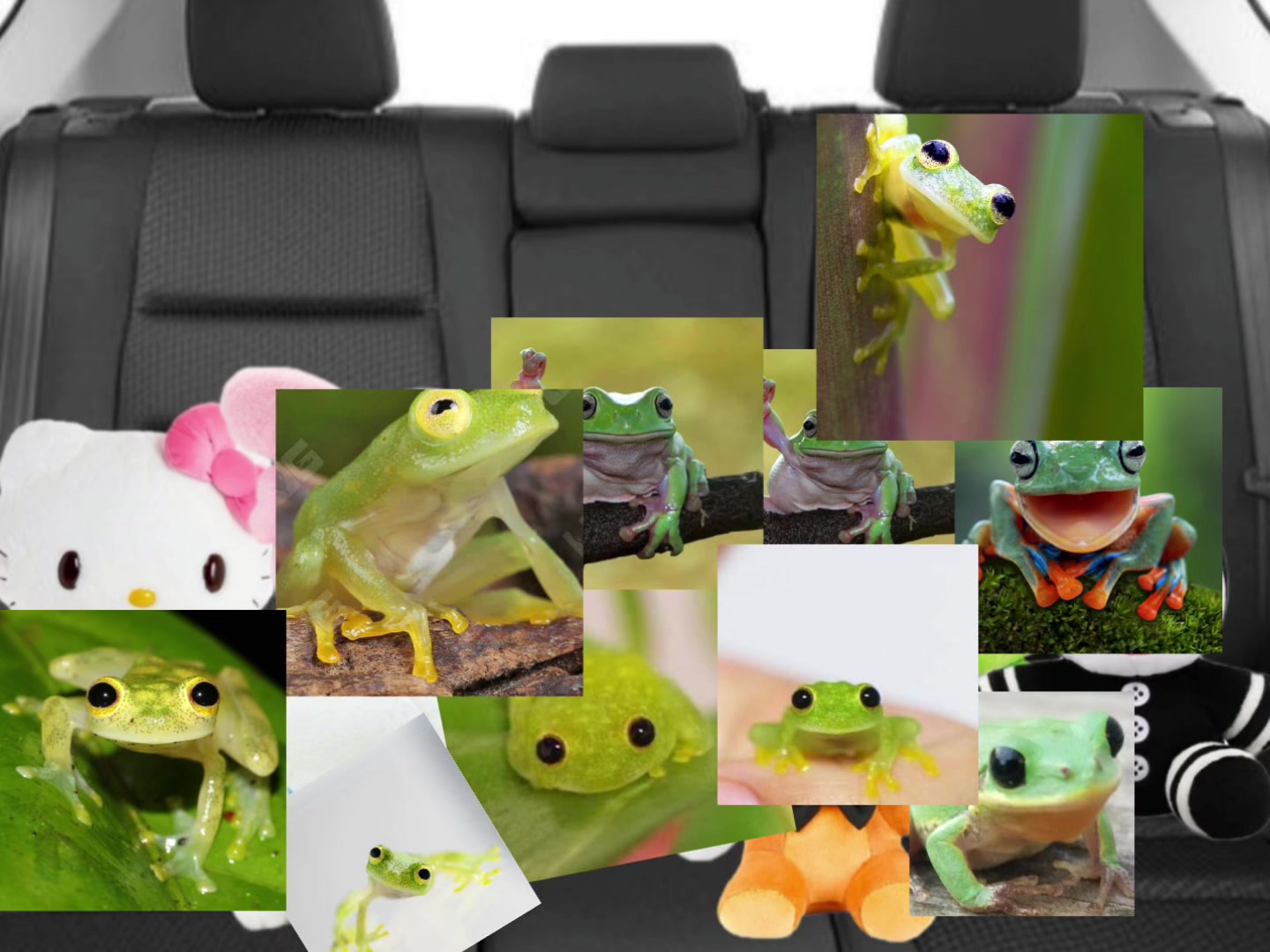 @FroggyVR