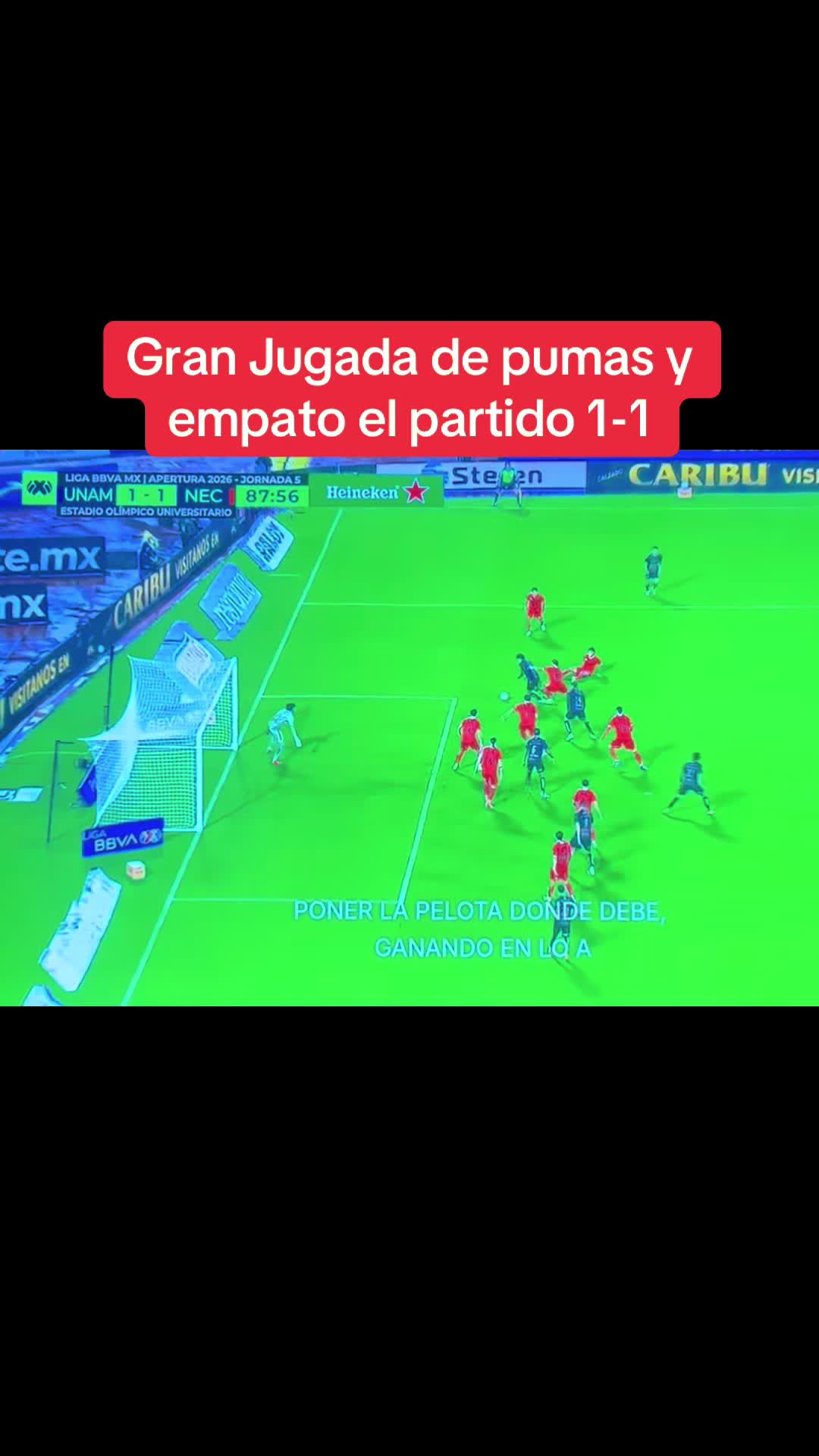 @Javier Salazar Rizo
