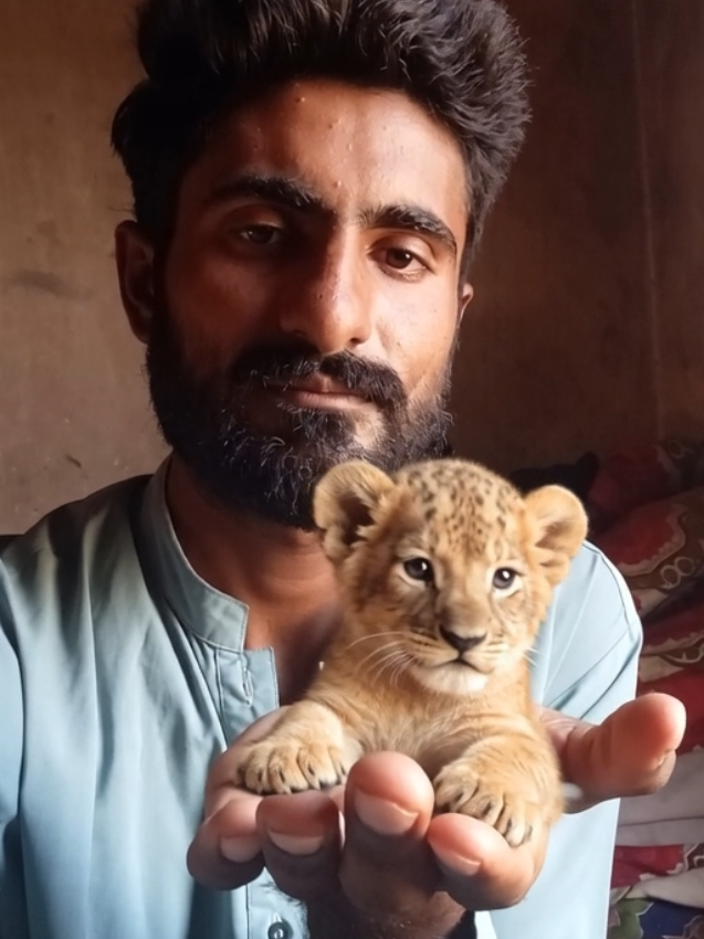@faizubhira