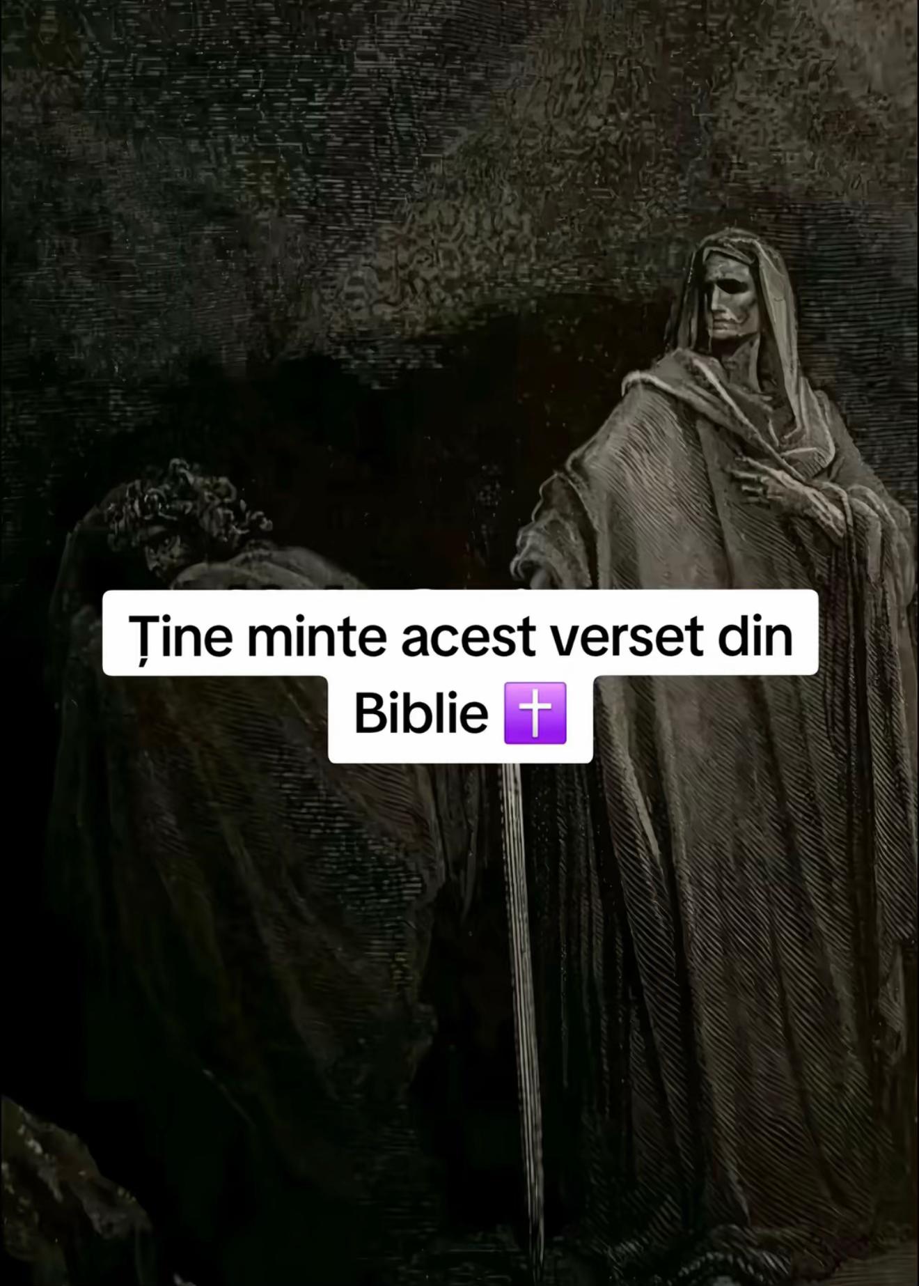 @deividmarc