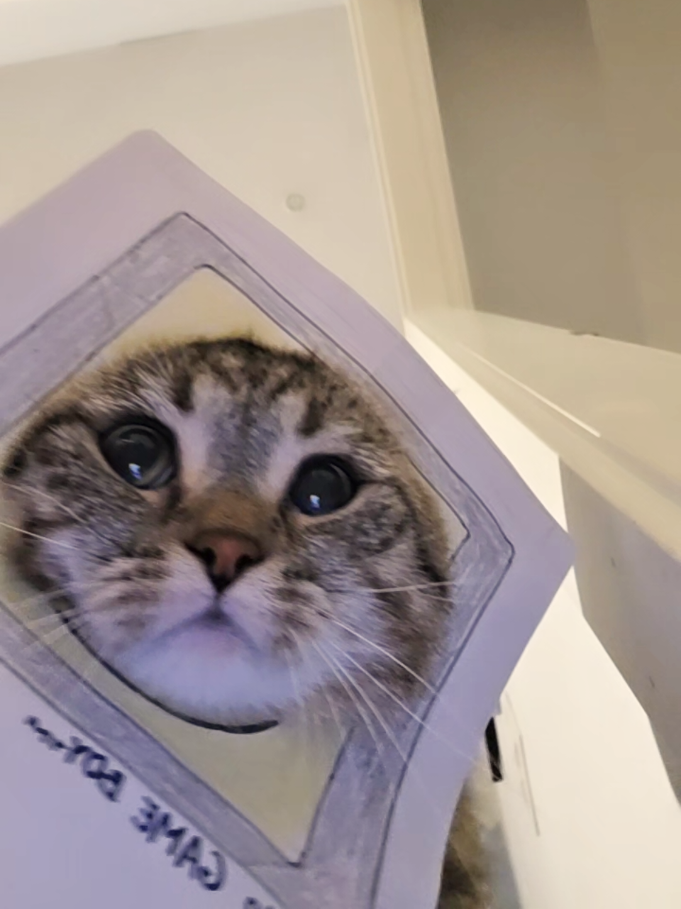 @Luka