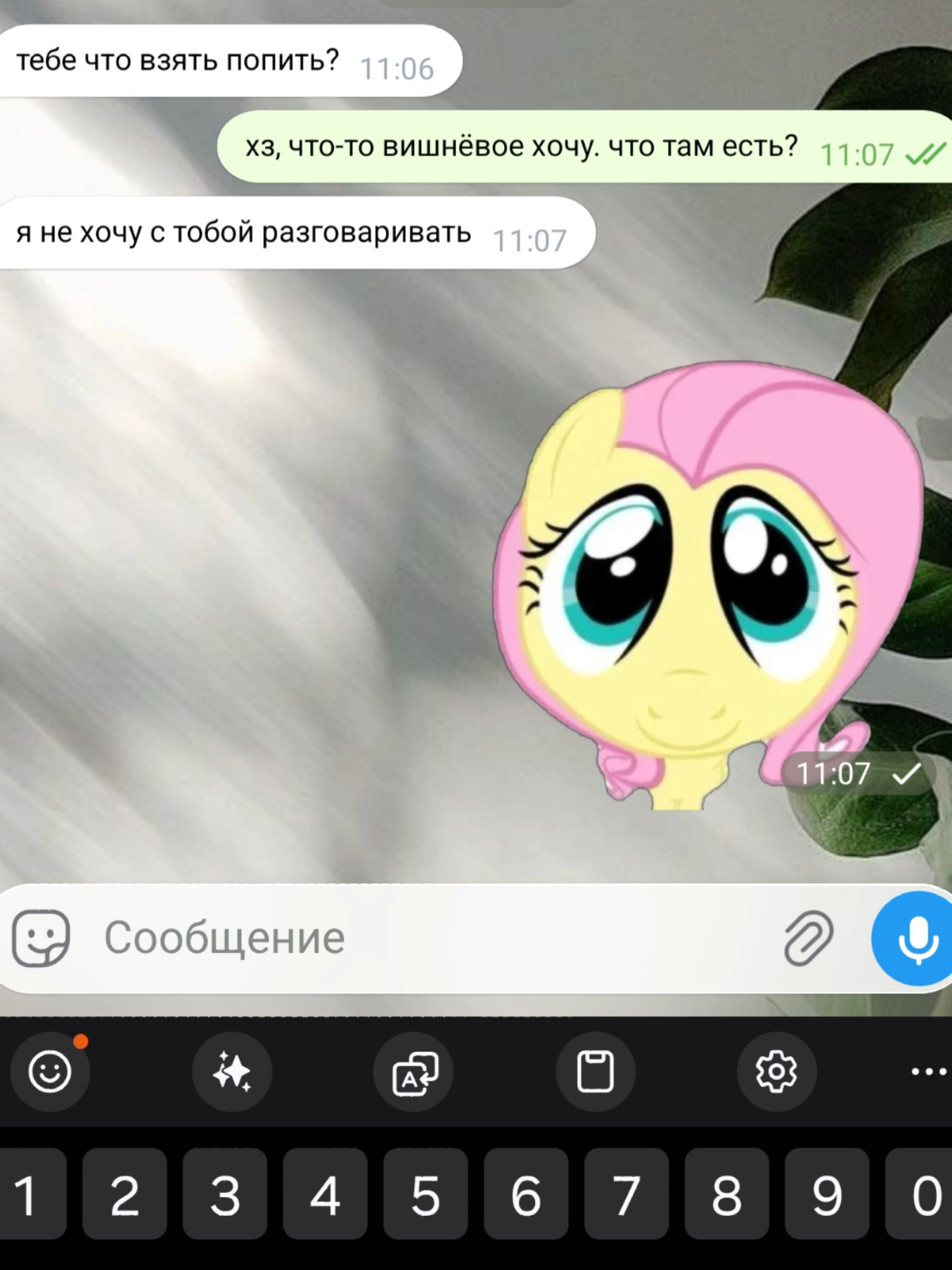 @s&oacute;na_ragdoll