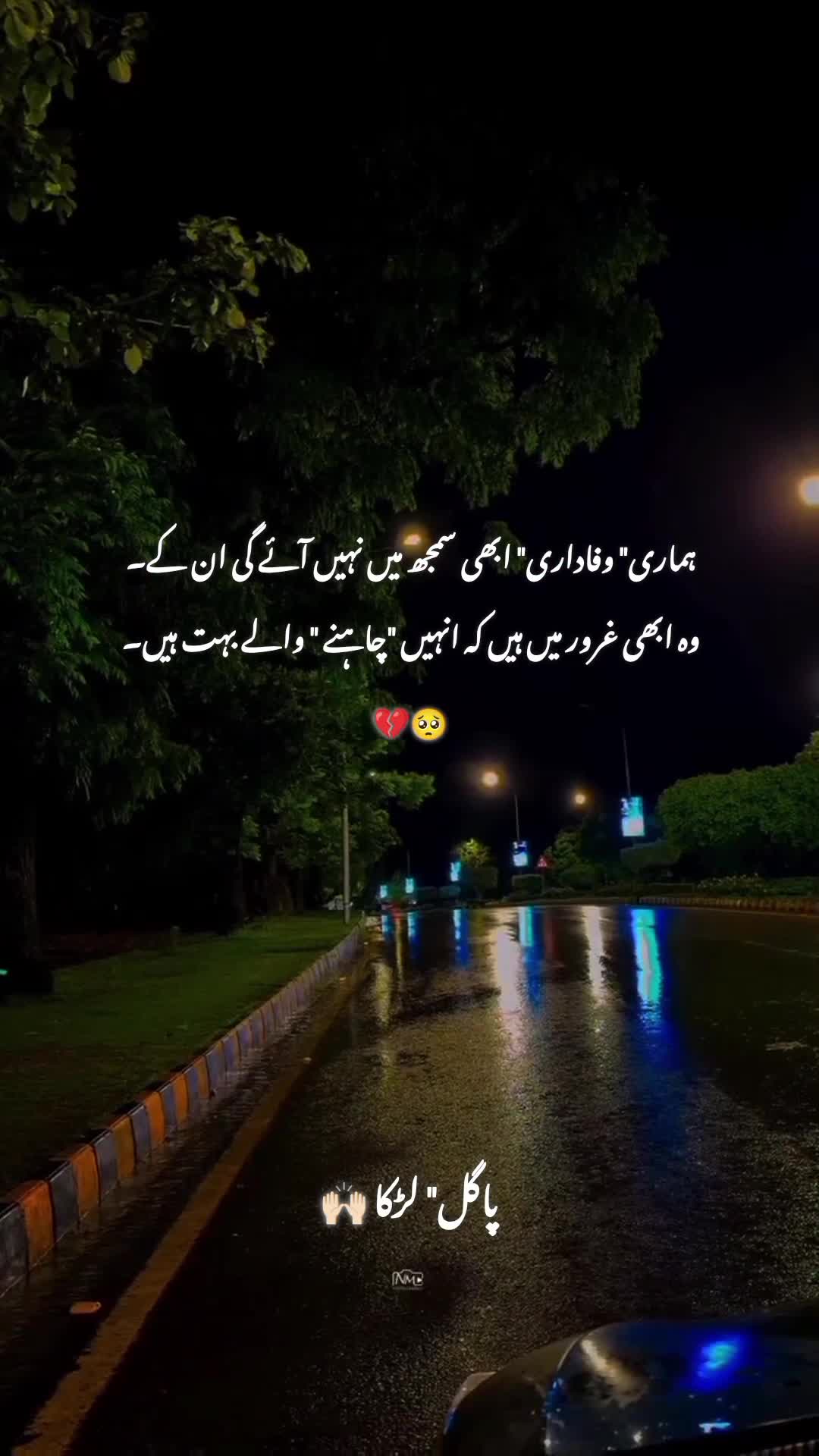 @پاگل لڑکا 🤍🥀