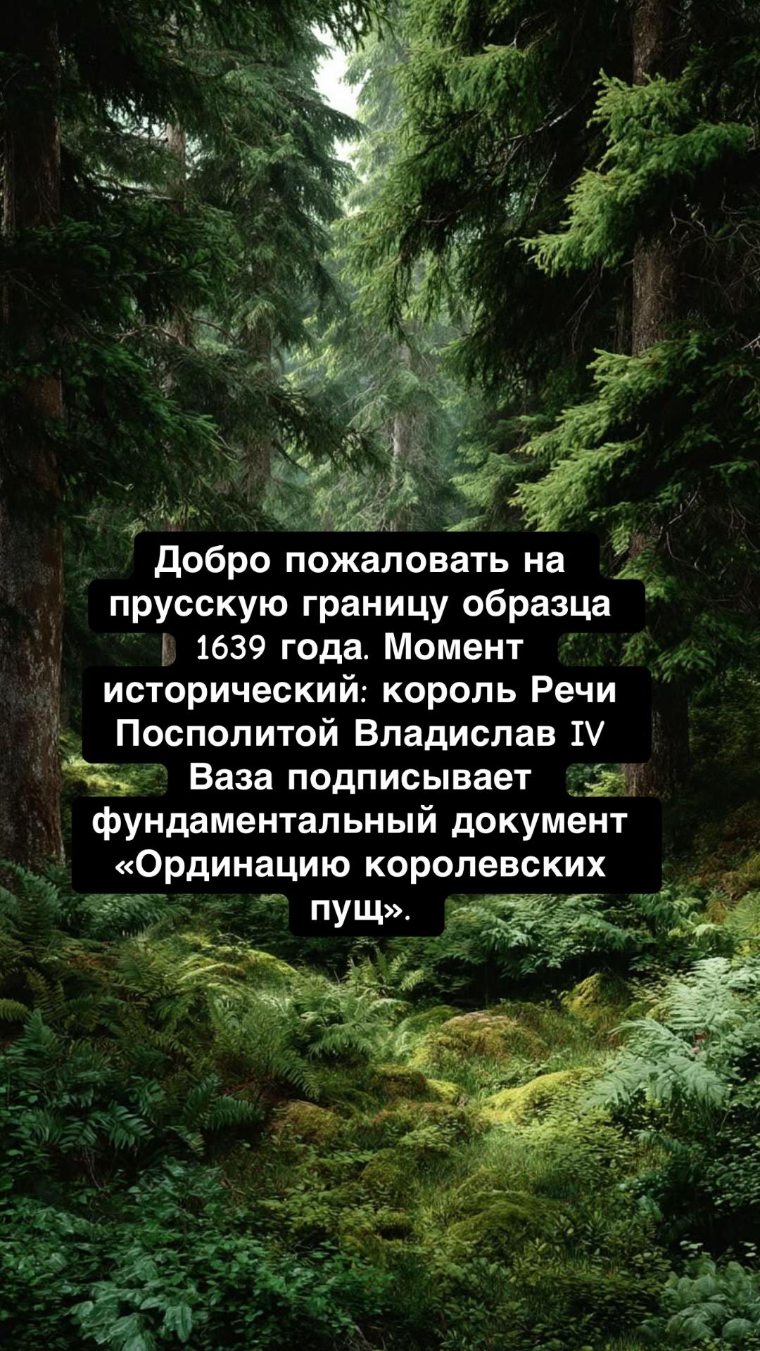 @RomeLegioner
