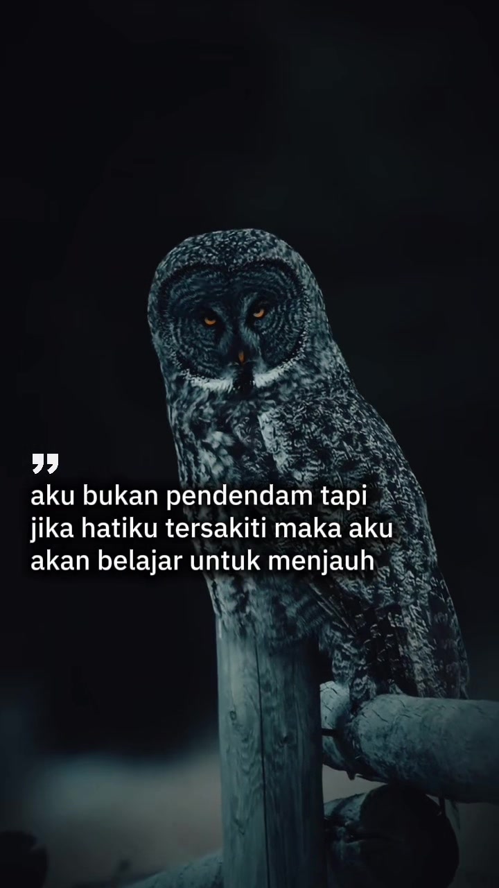 @Analia Kim