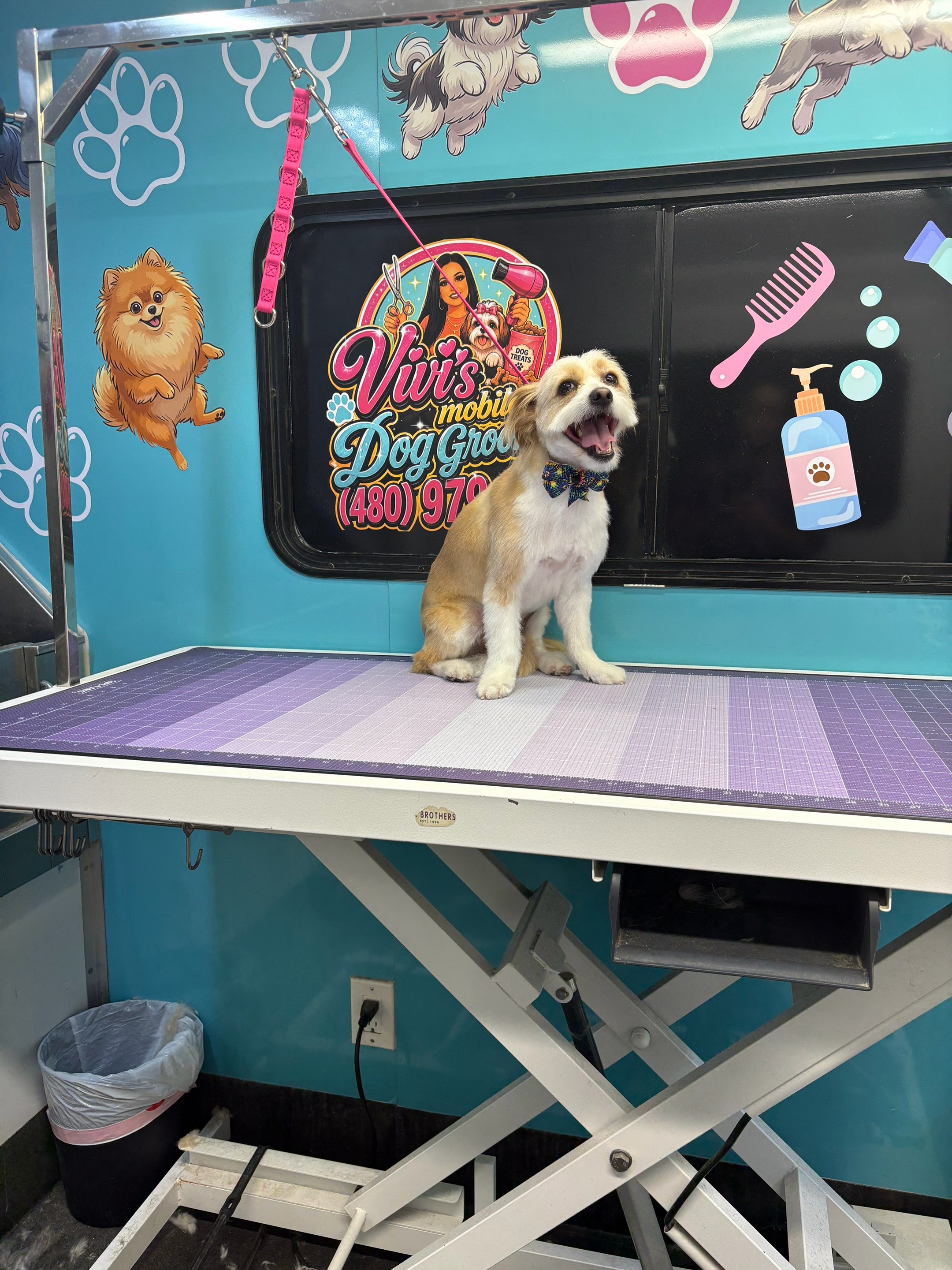 @Vivismobiledoggrooming