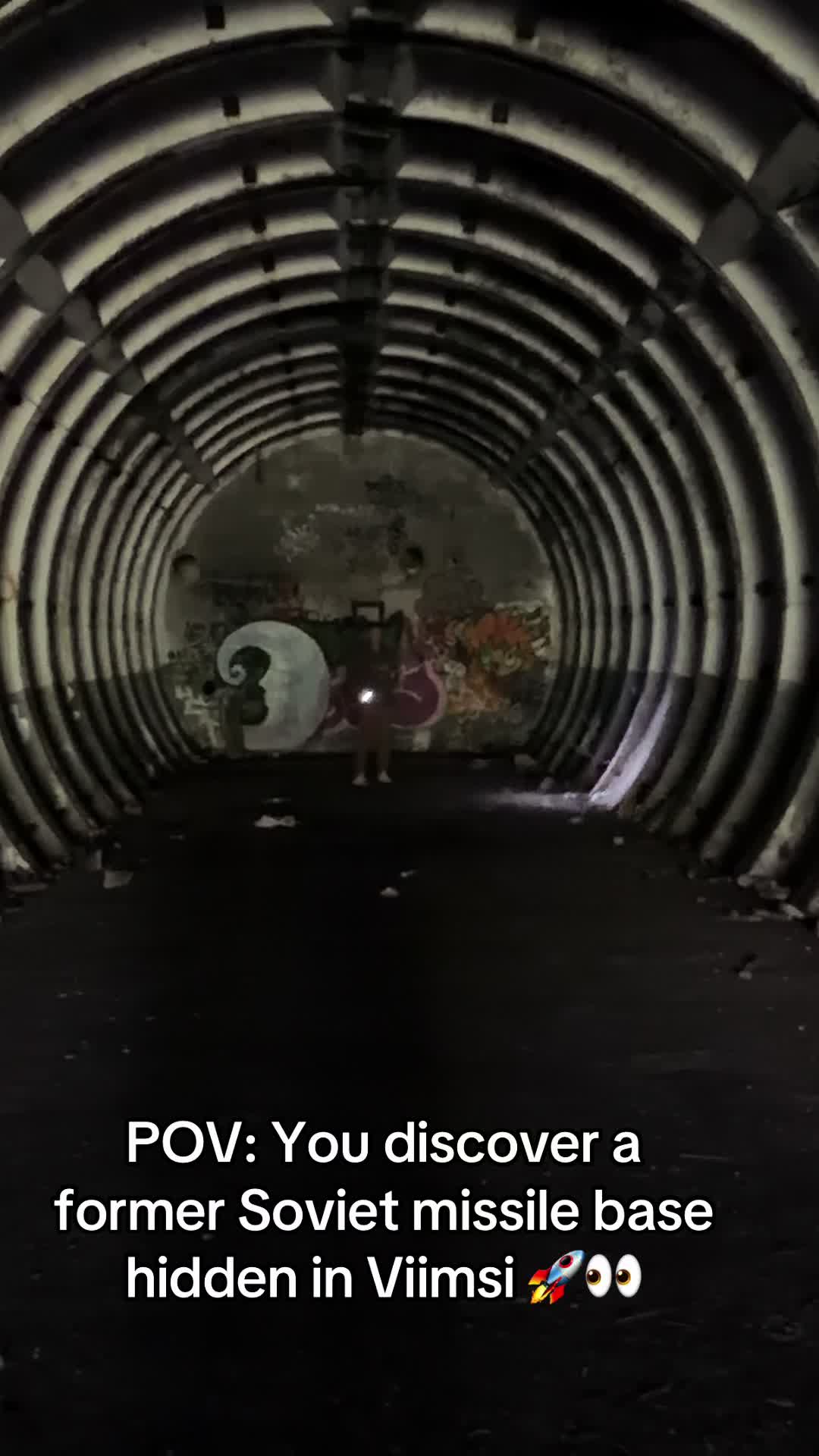 @ginfluencerestonia