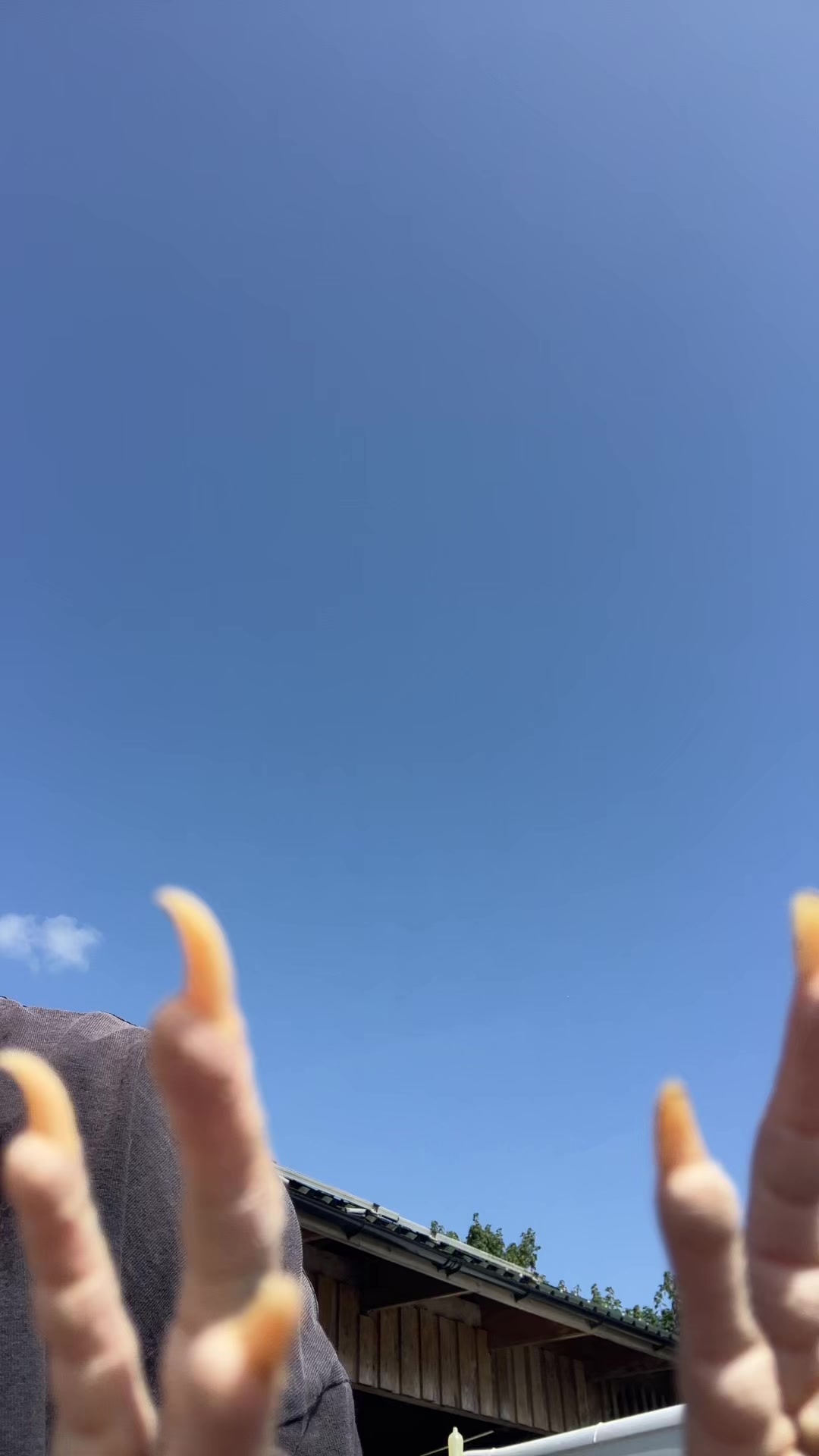 @Willowlanealpacas