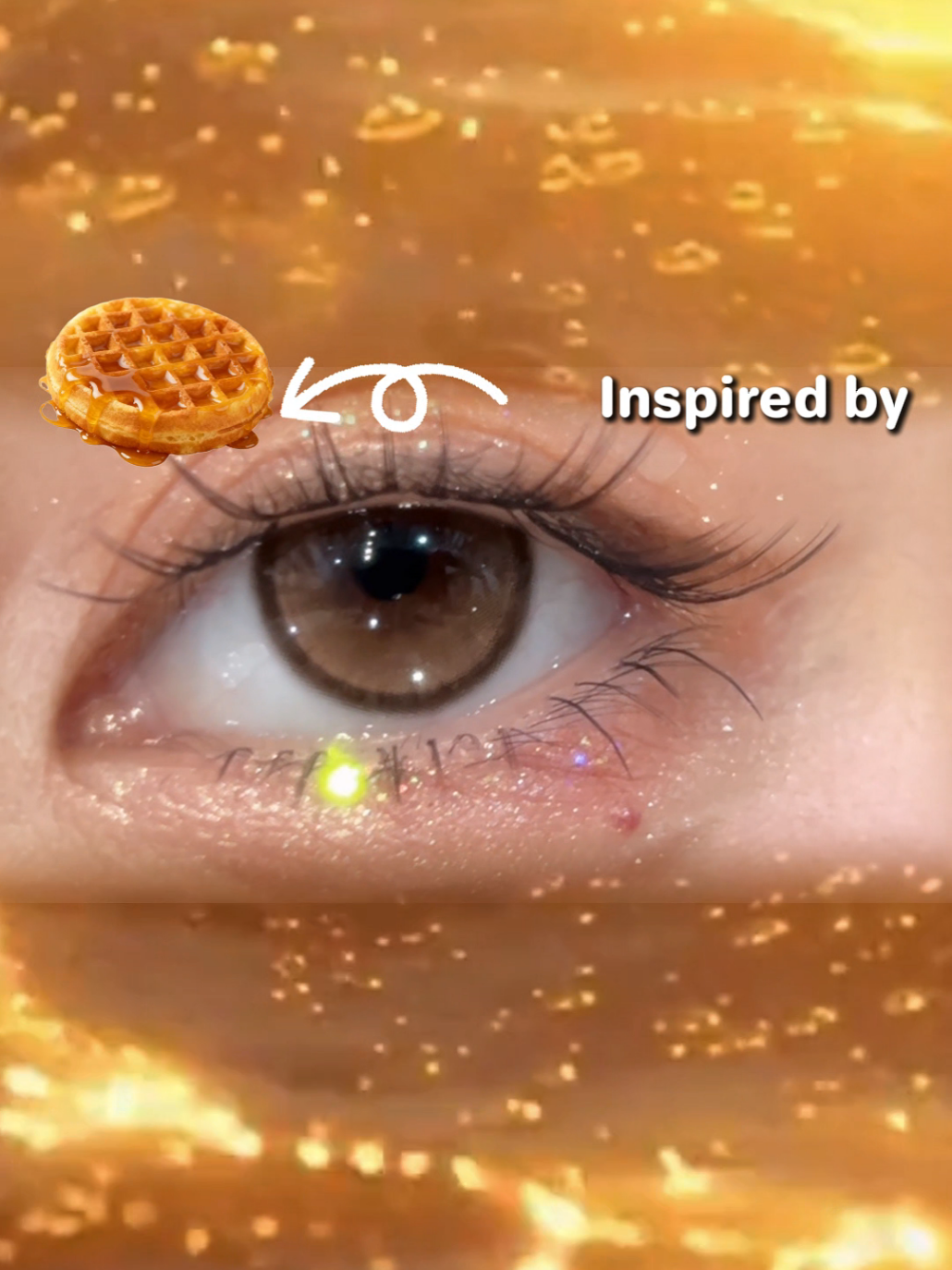 @sigocontacts_official