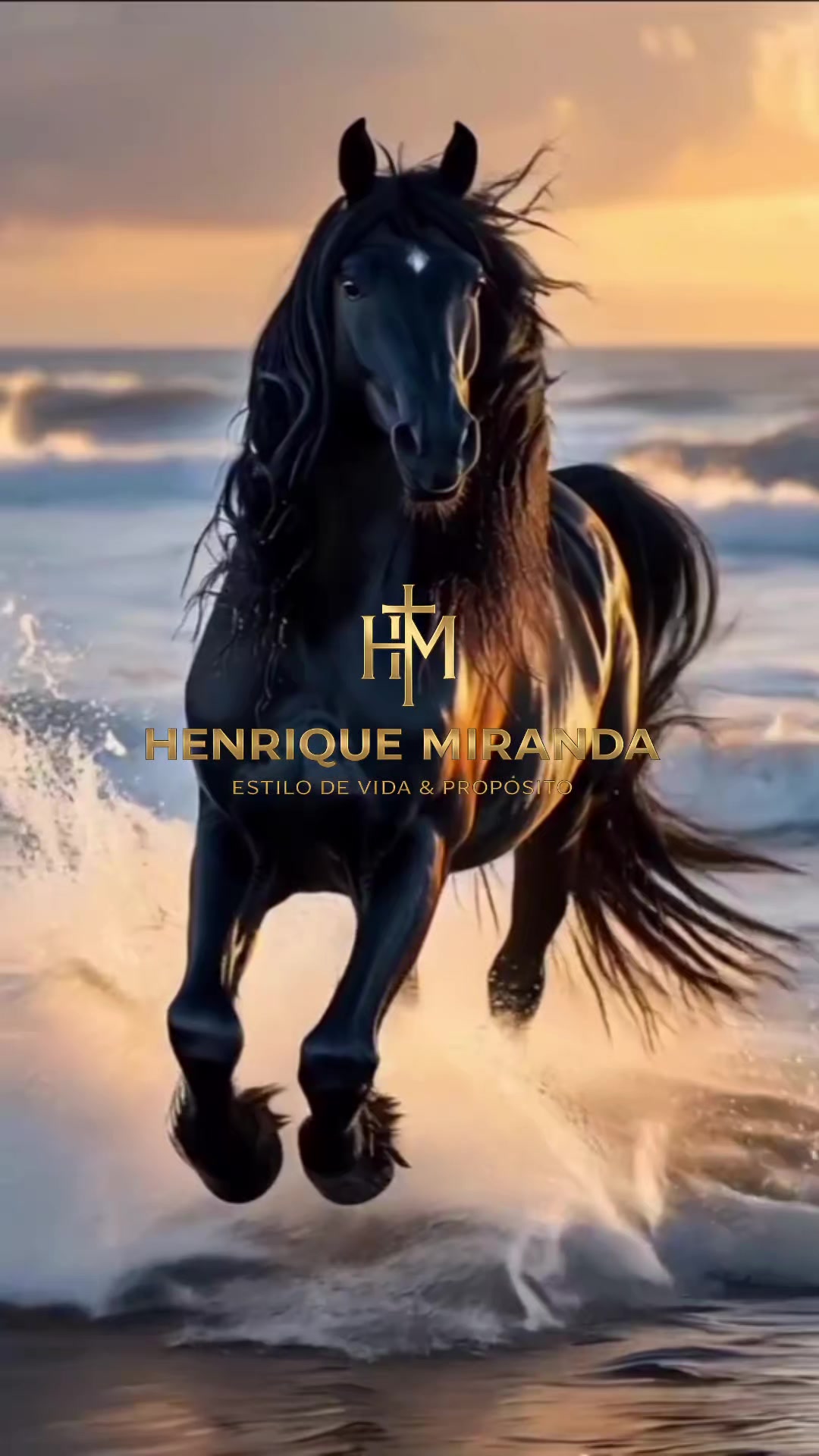 @Henrique Miranda