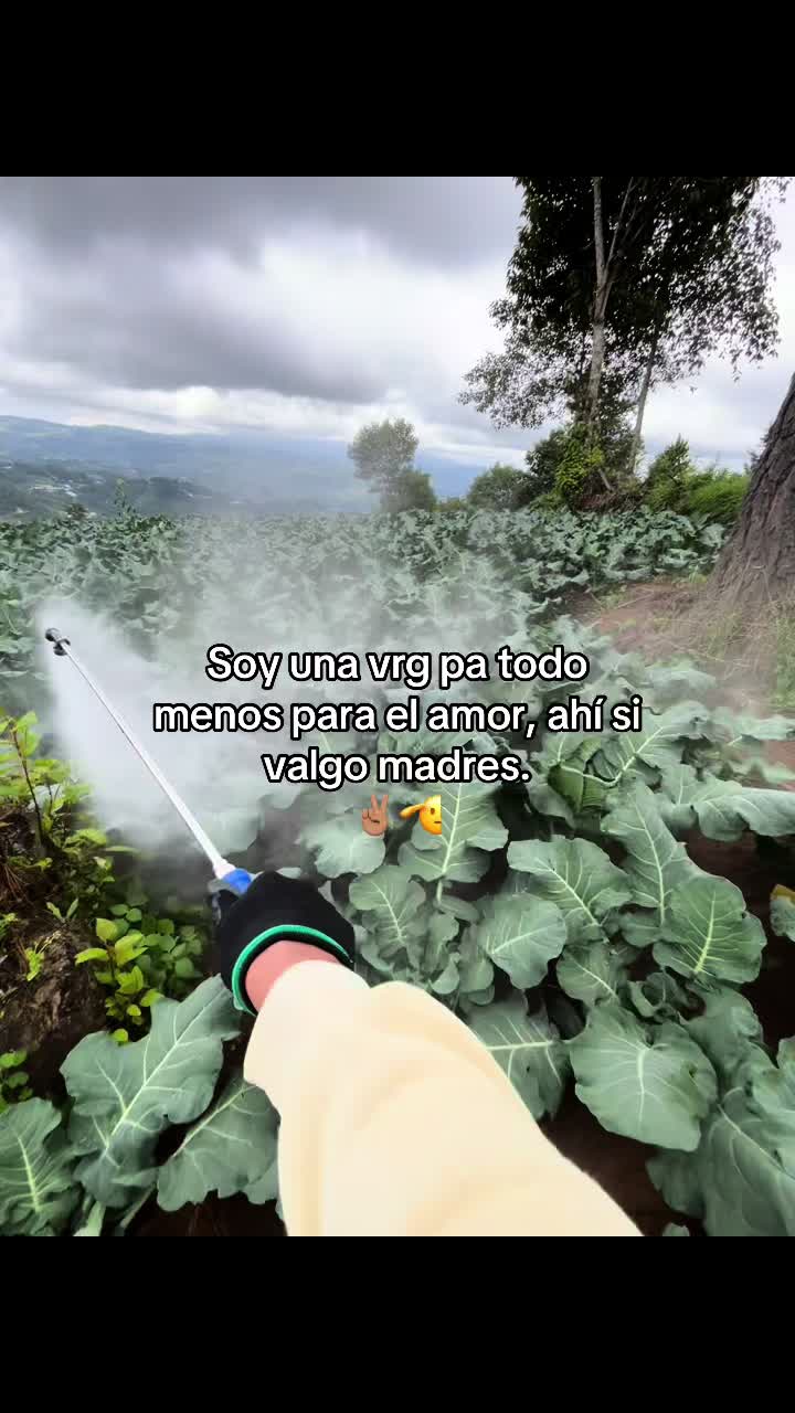 @Henry 🫡🤠