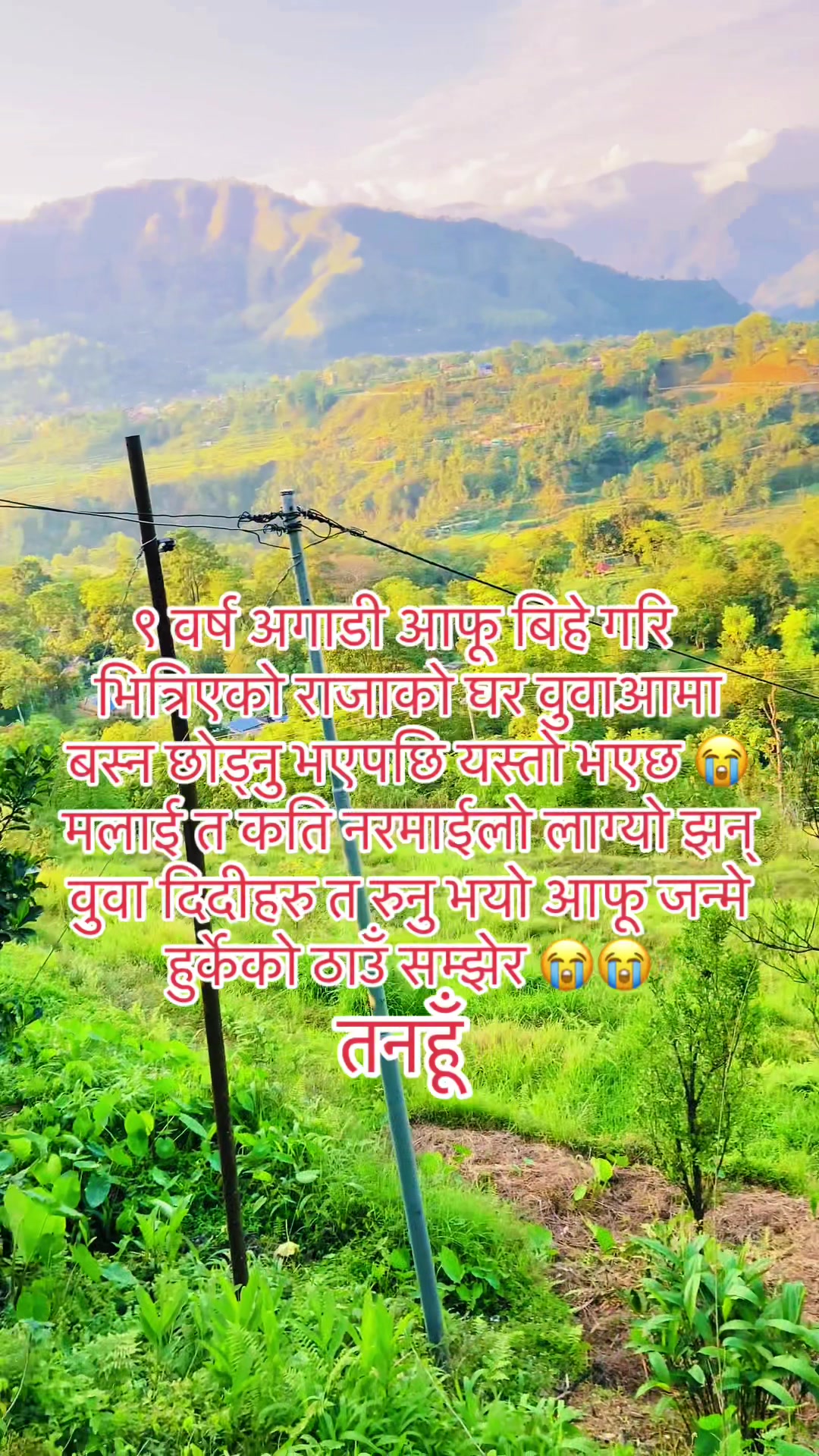 @🌸Kritagya&rsquo;s mom🦋🇯🇵