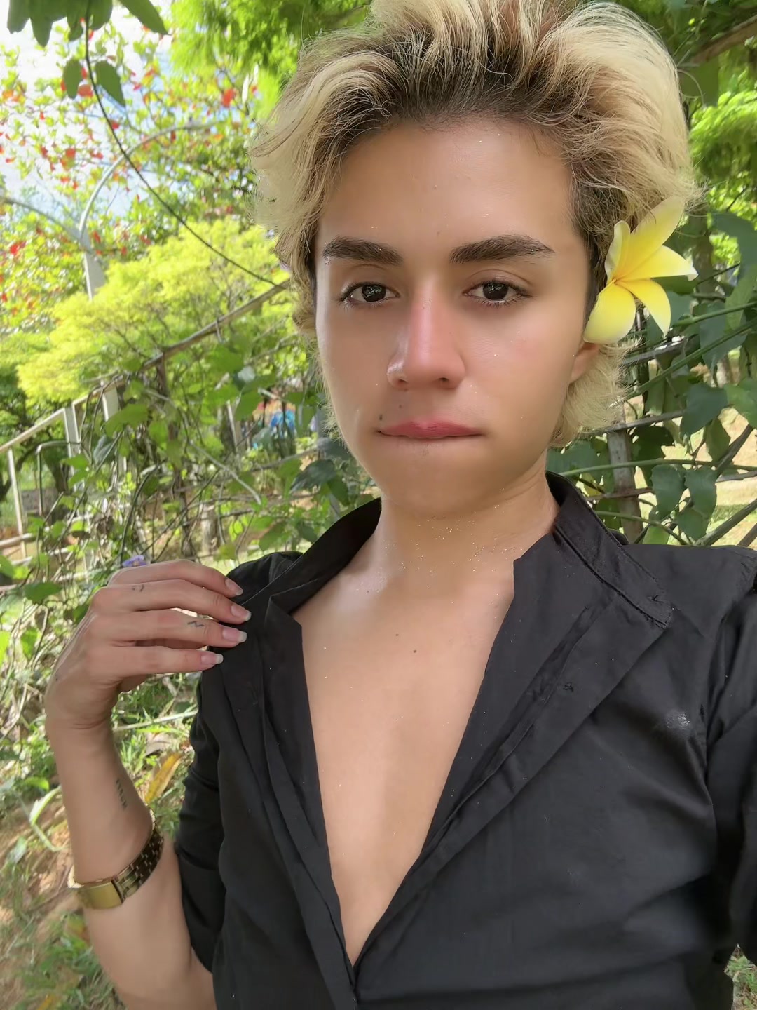 @Harold Colucci 🦩