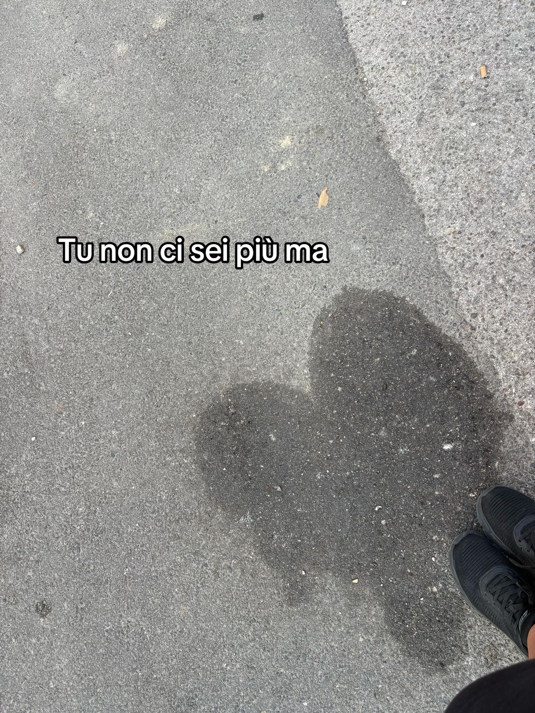 @francesca savoia