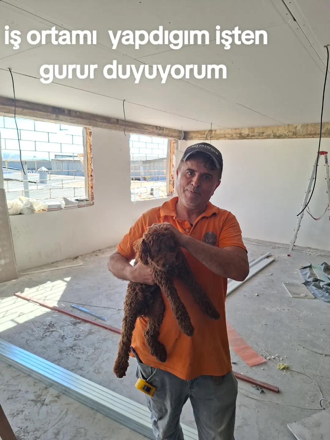 @@m&uuml;zik sevenler7106 mehmet can