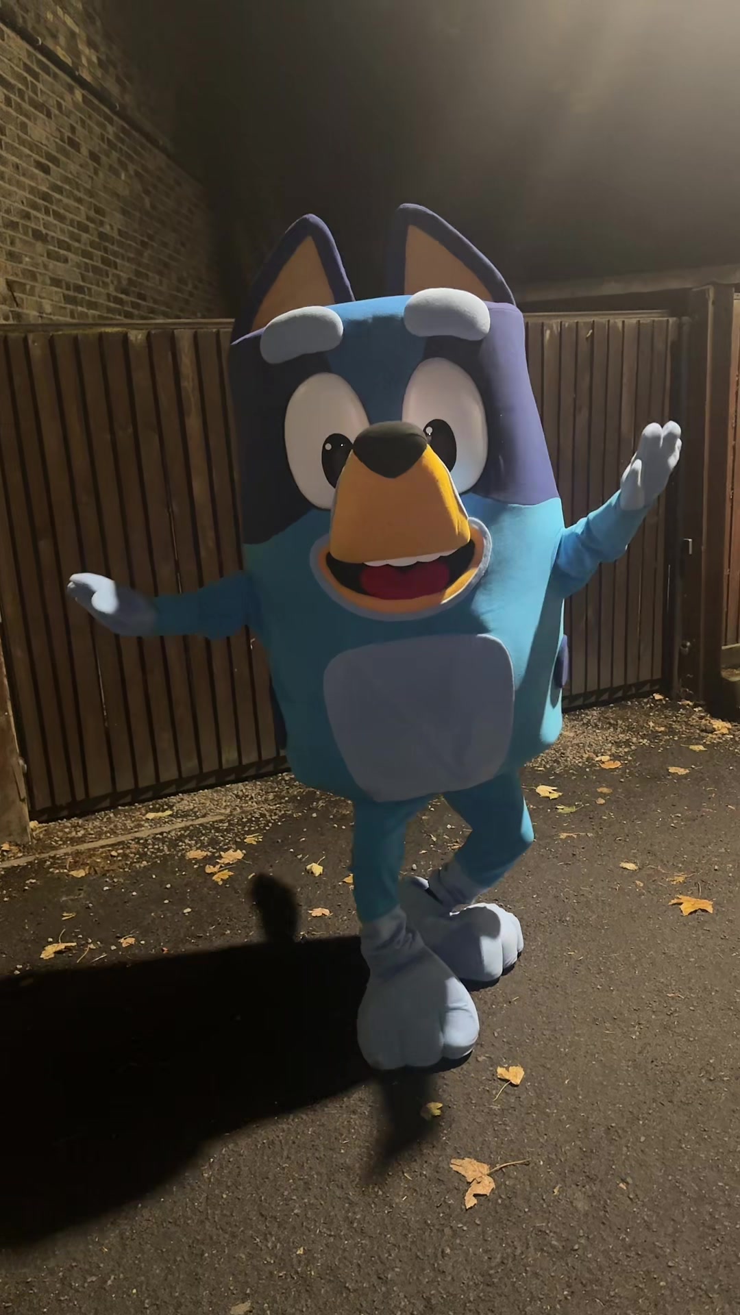 @KPsdancingmascots