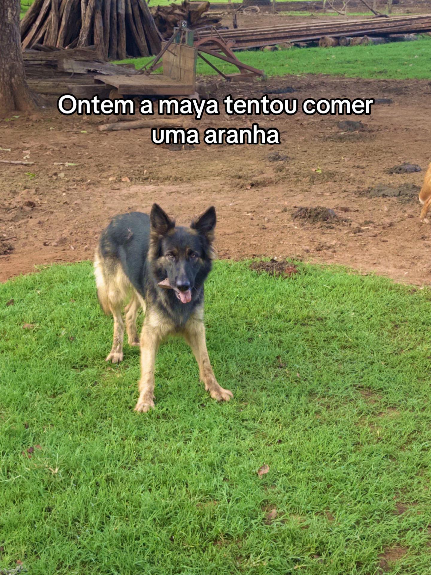 @Ai Tati