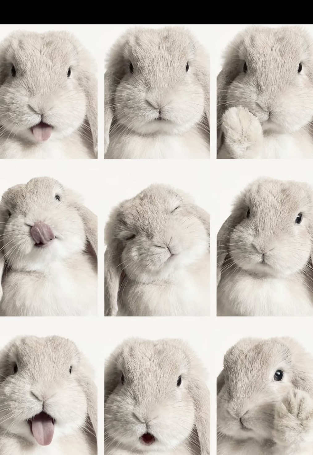 @𝘒𝘢𝘪𝘭𝘦𝘢