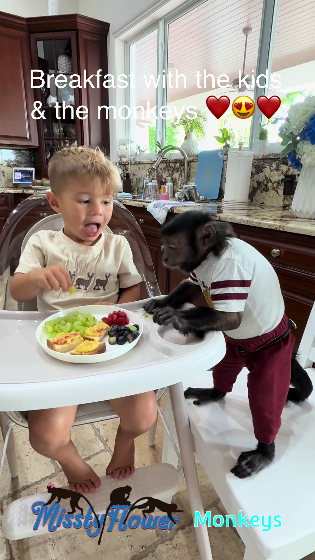 @MisstyFlower Monkeys