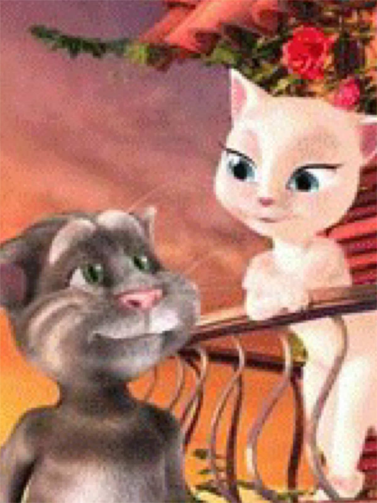 @#котыприколы