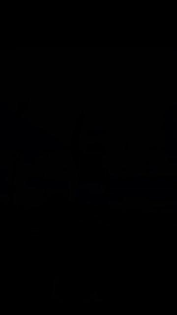 @Bee Vivion Rnd