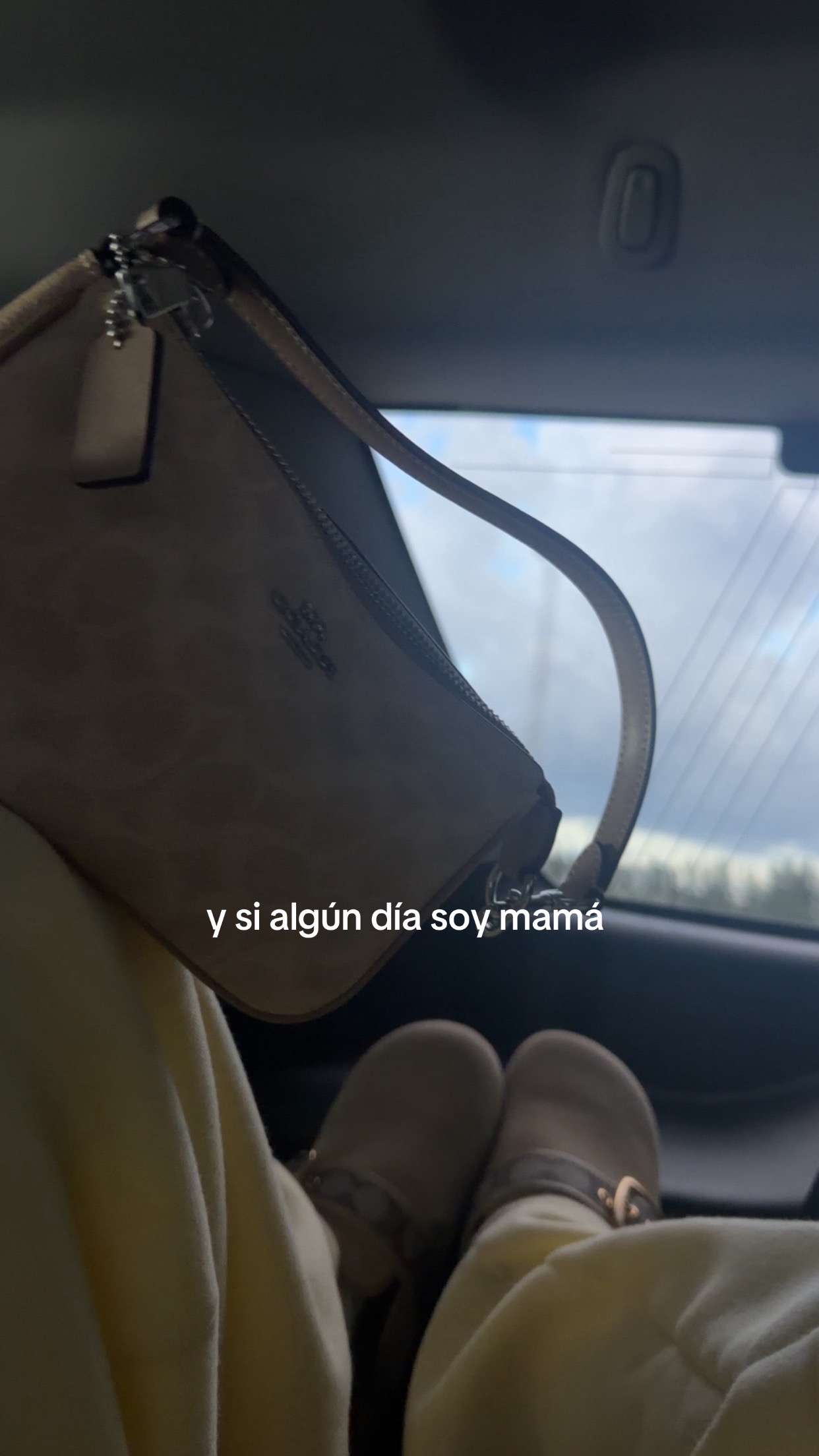 @dani