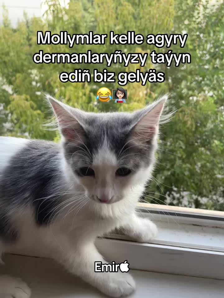 @Emir