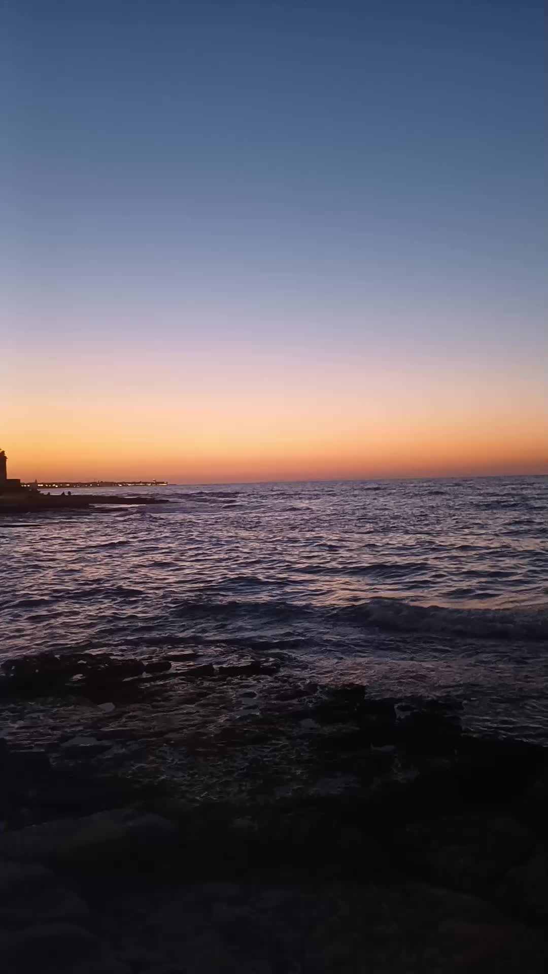 @luigifasciano780
