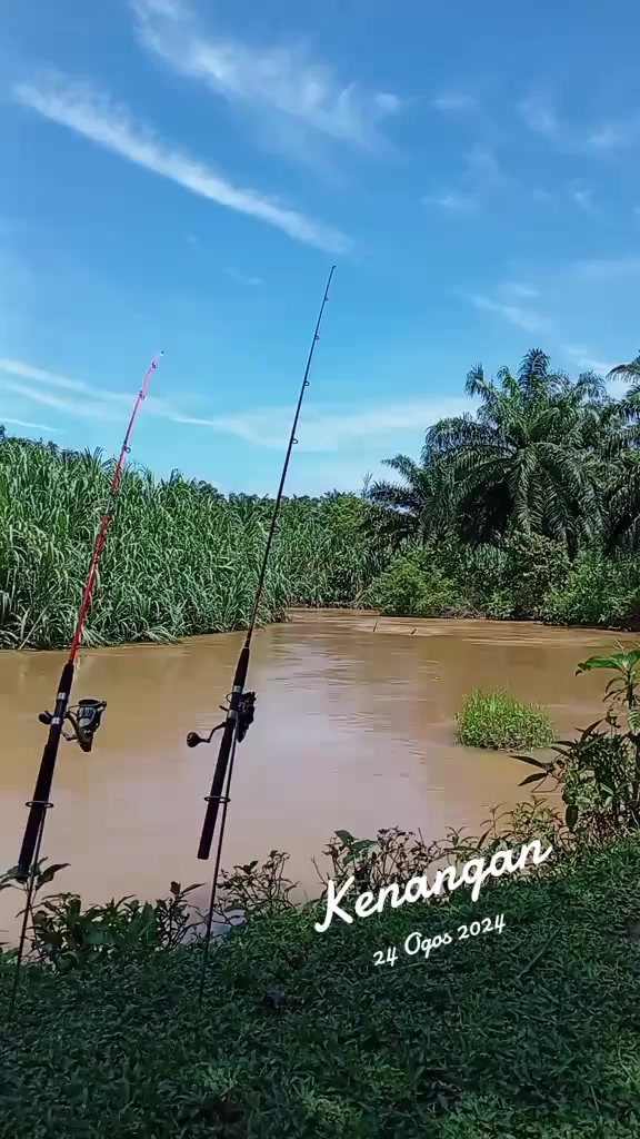 @Toman_Rimba_ll