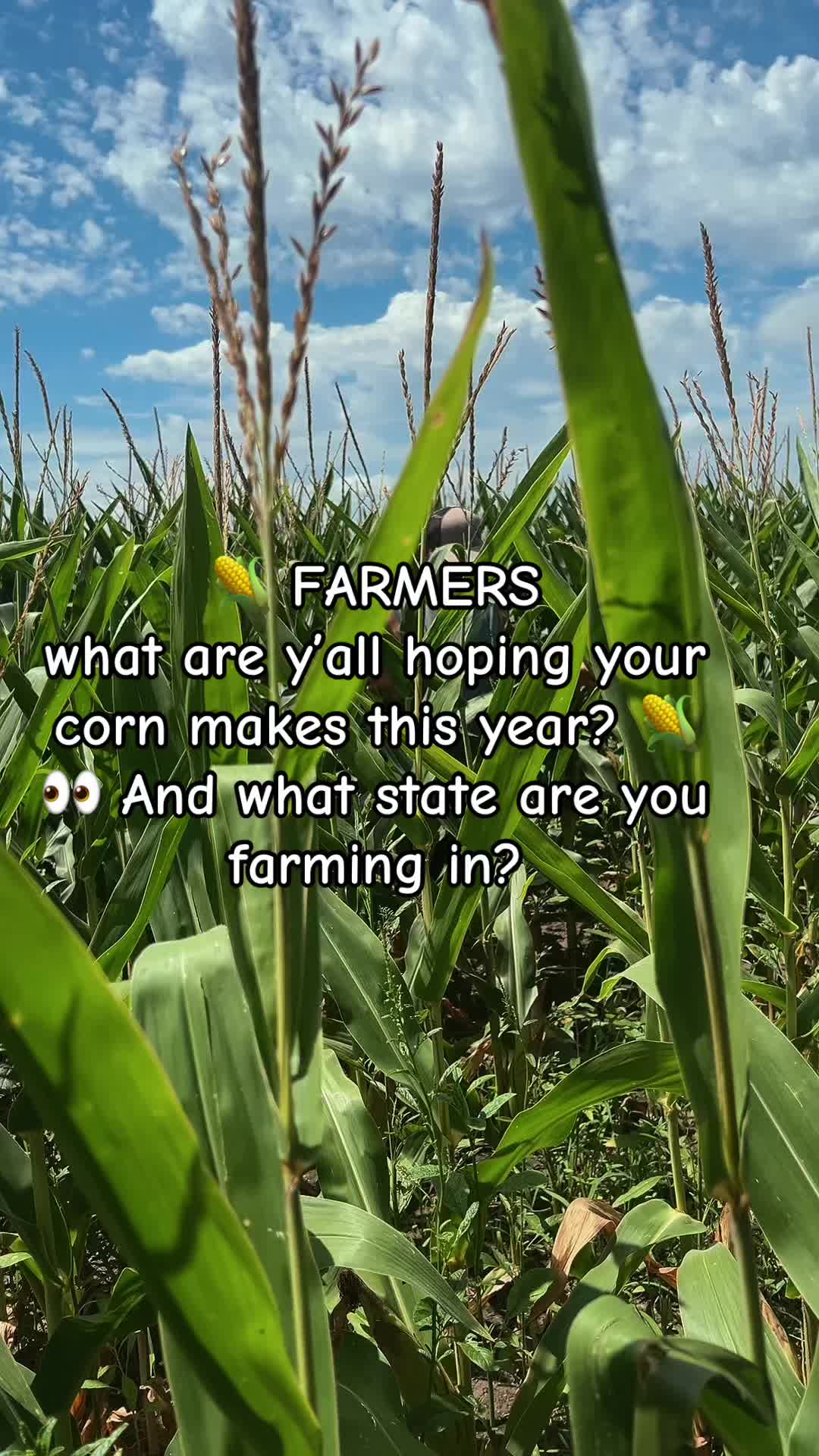 @🌻brittany.mom.farmwife🌻