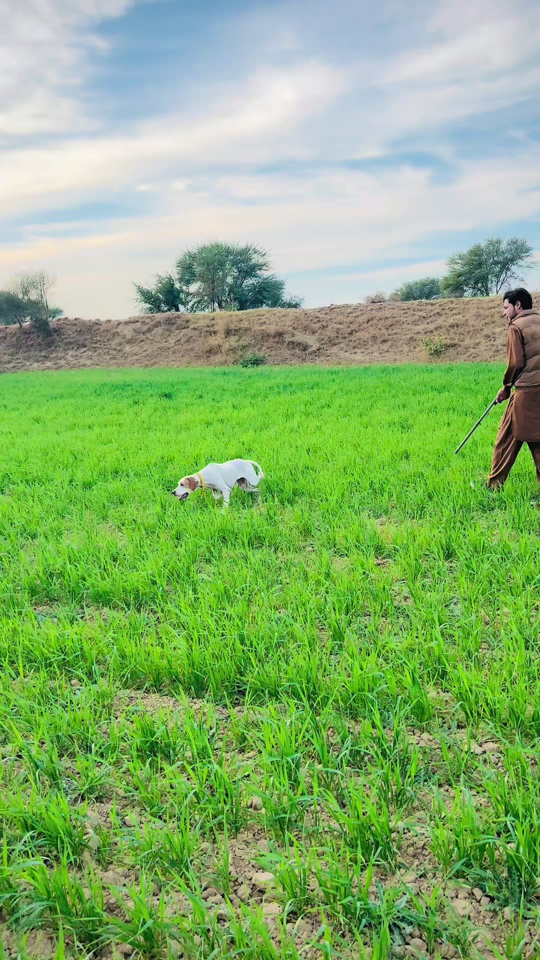 @راجہ علی عباس ڈھوک راجگان