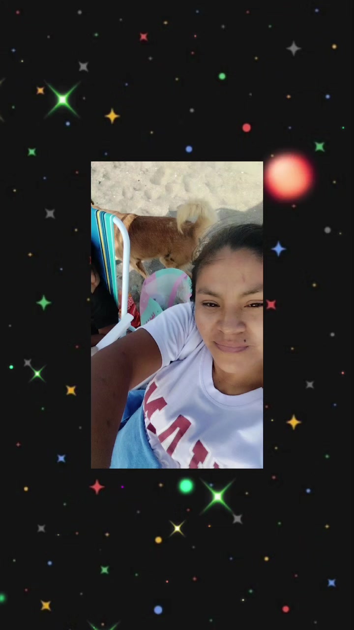 @Yurico🐯🦁
