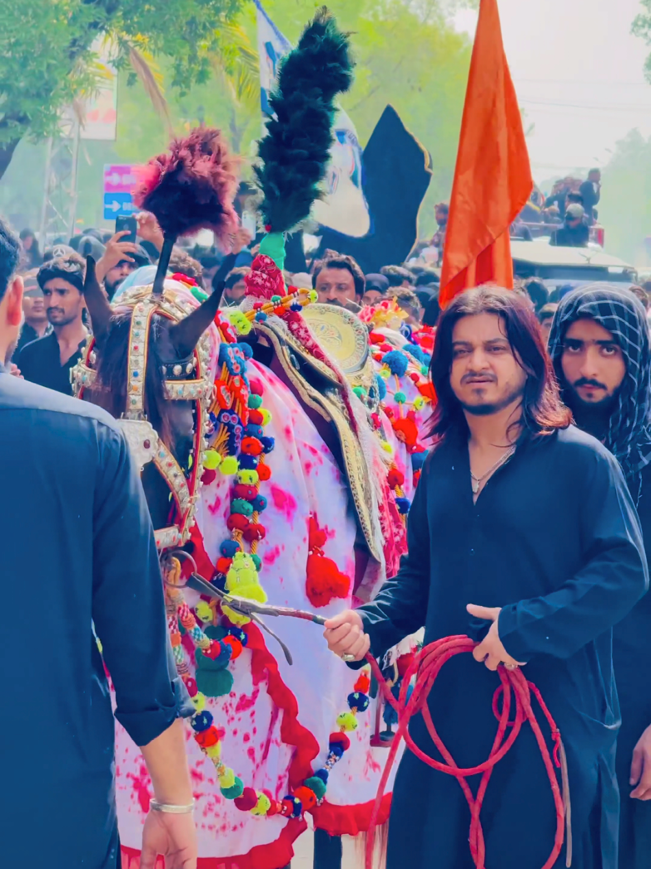 @Syed Abu Talib Shah