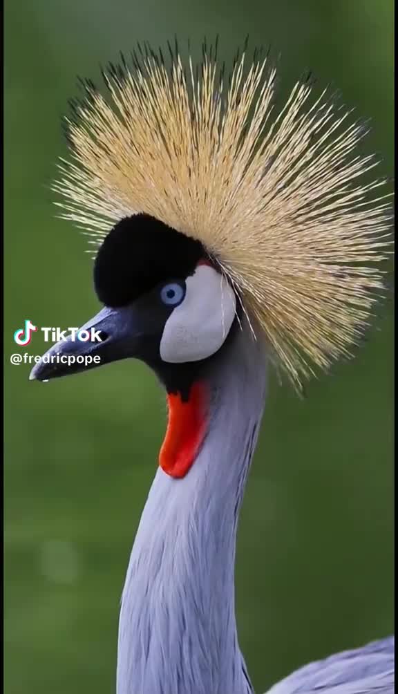 @m0unette
