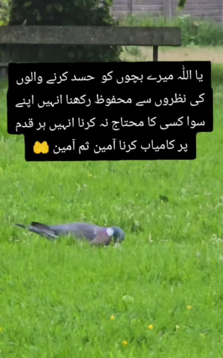 @khadija vlog