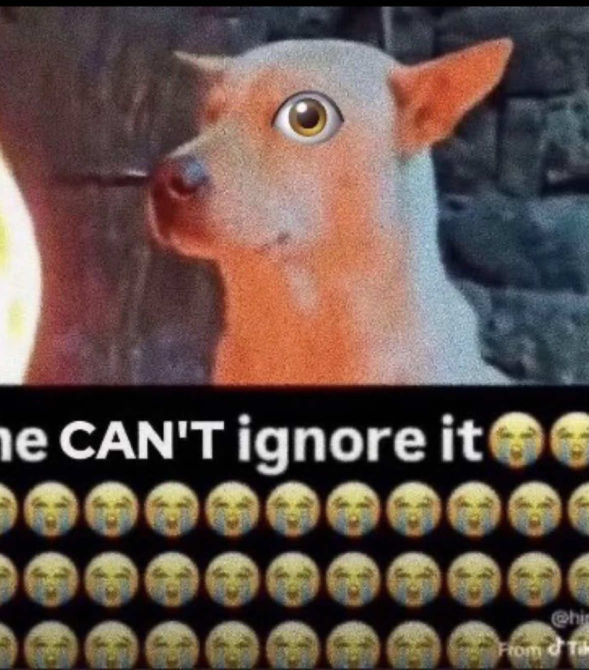 @charlie
