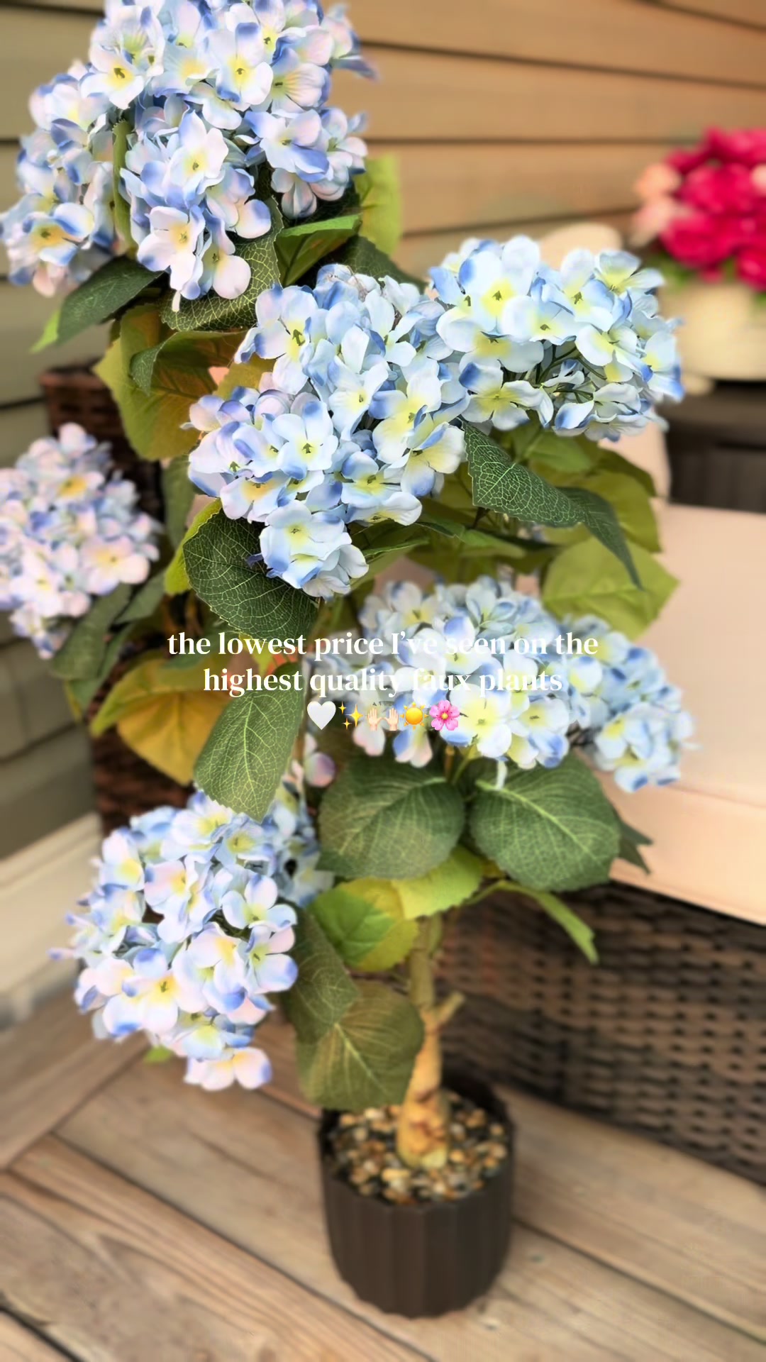 @Taylor Mullis 🌸